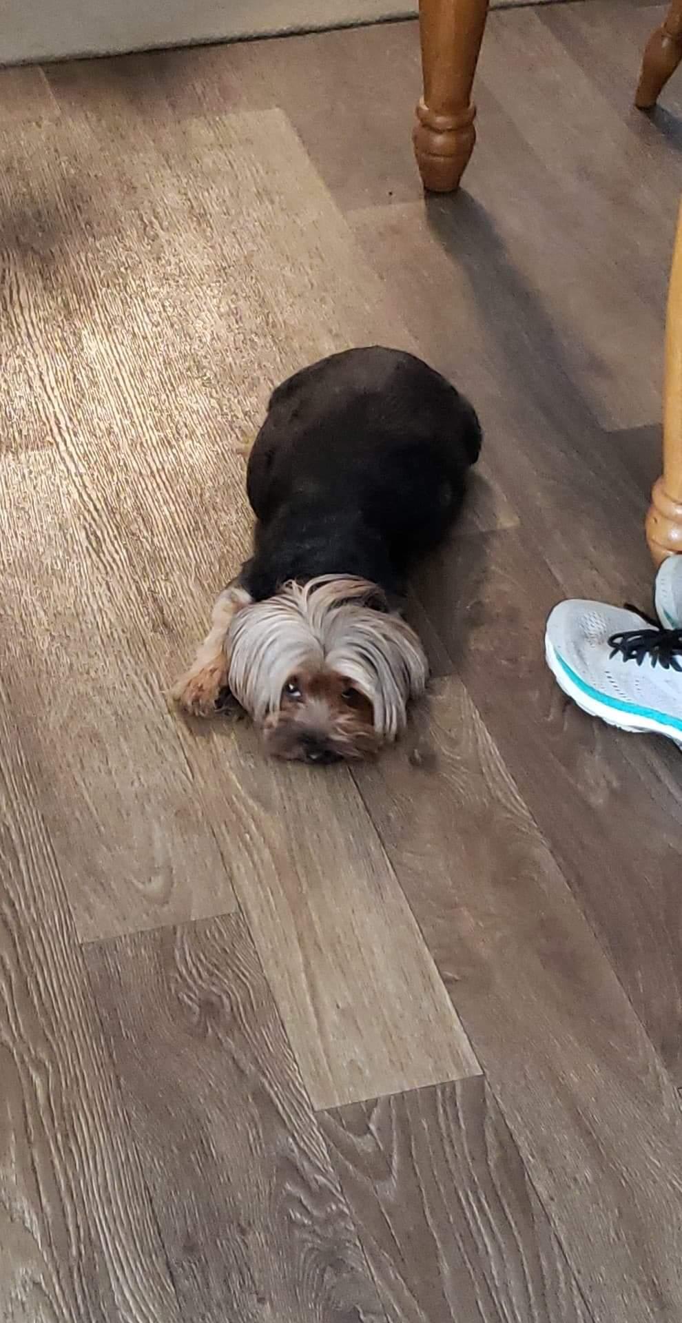 Question details sensitive content