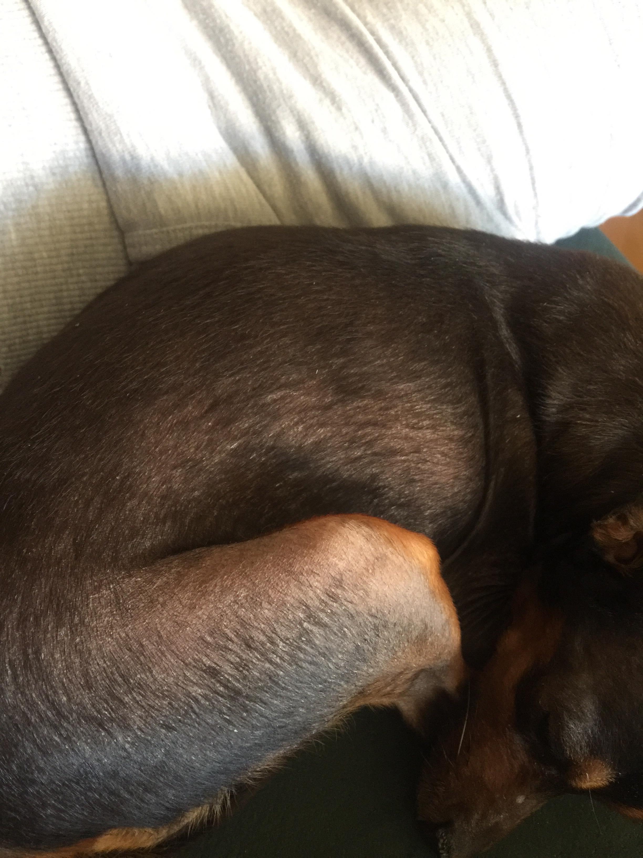 Question details sensitive content