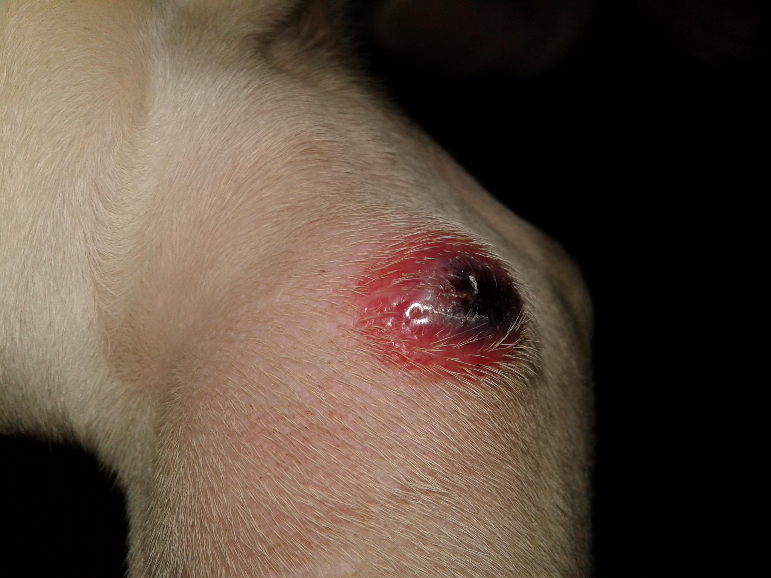 Question details sensitive content