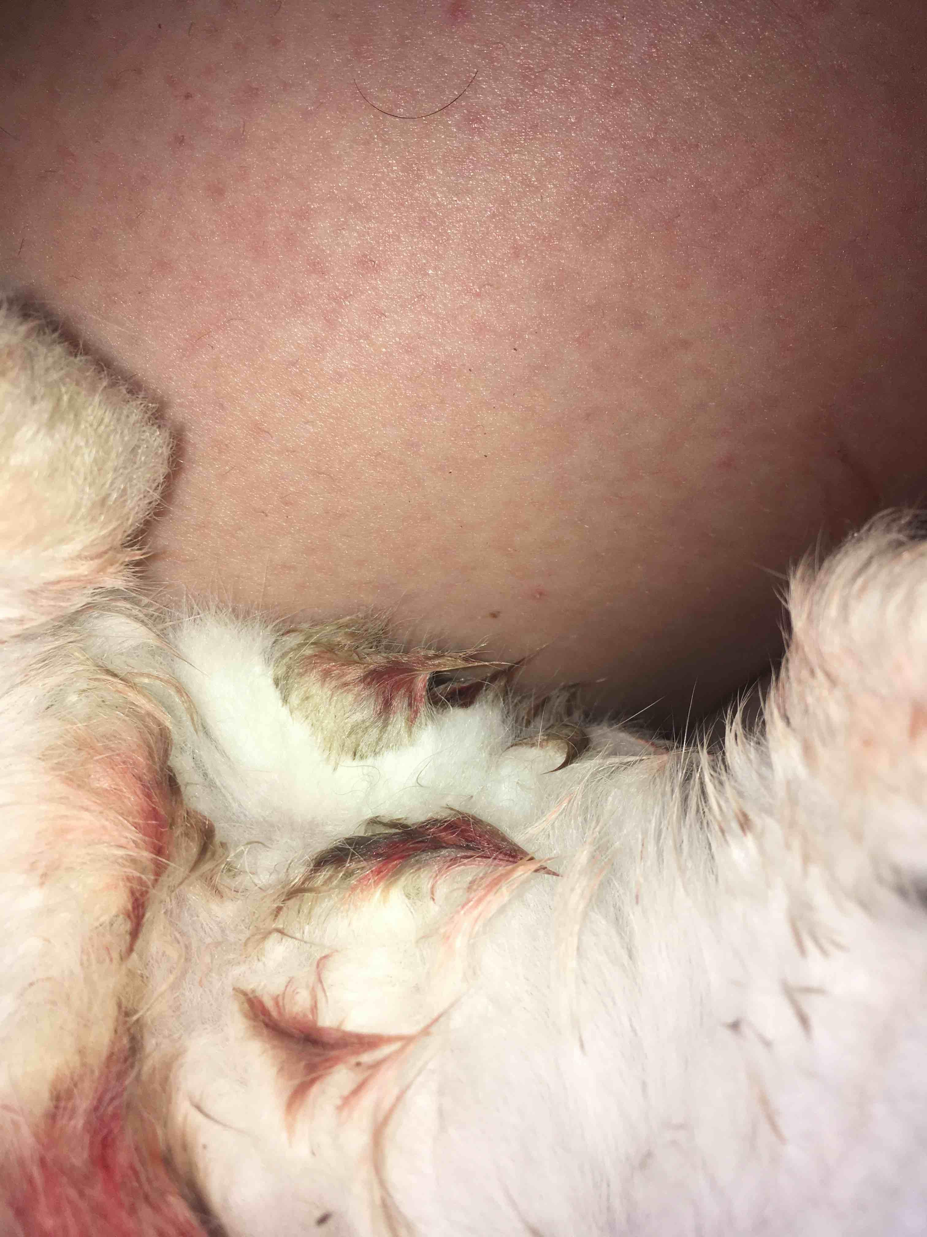 Question details sensitive content