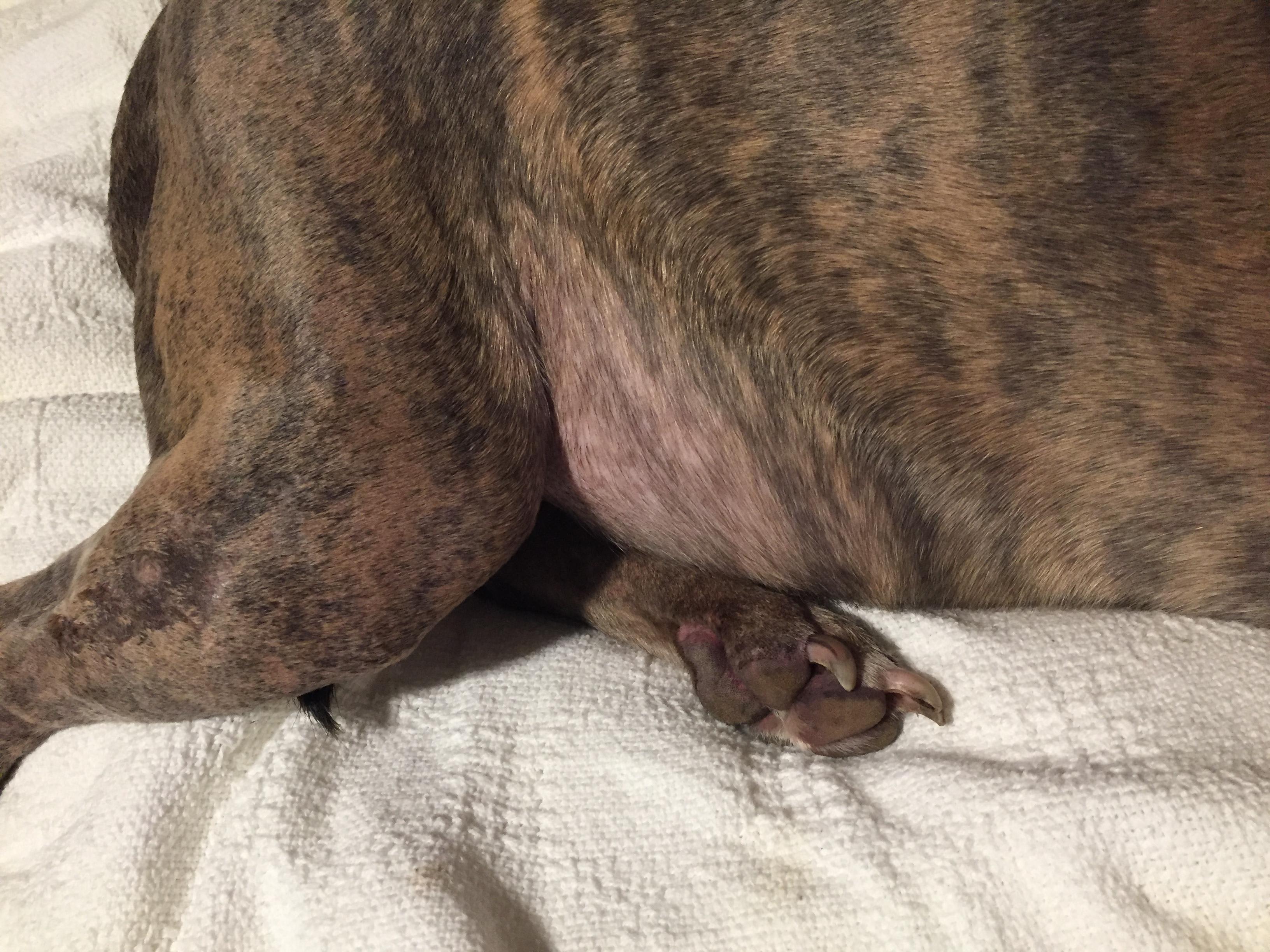 Question details sensitive content