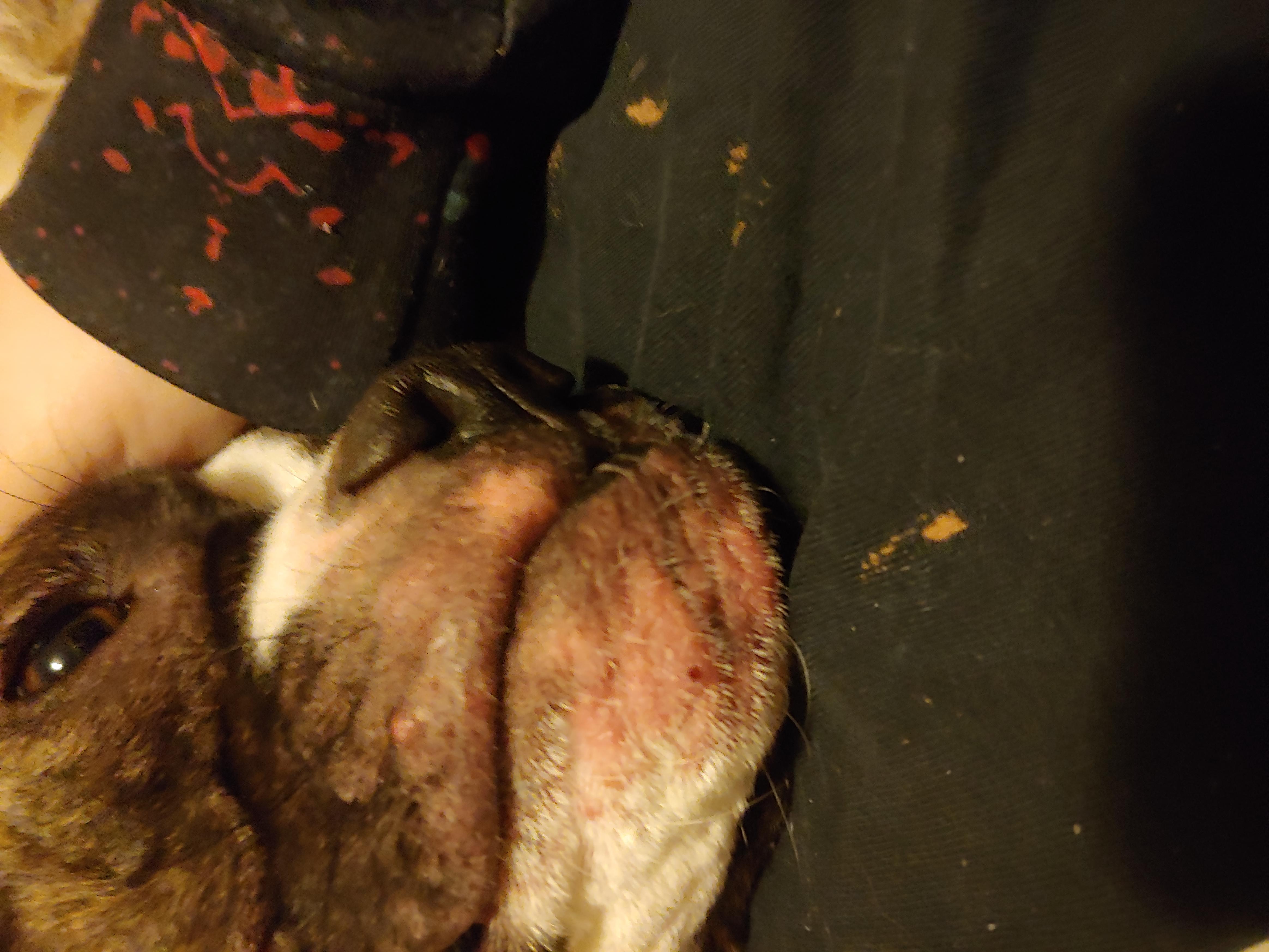 Question details sensitive content