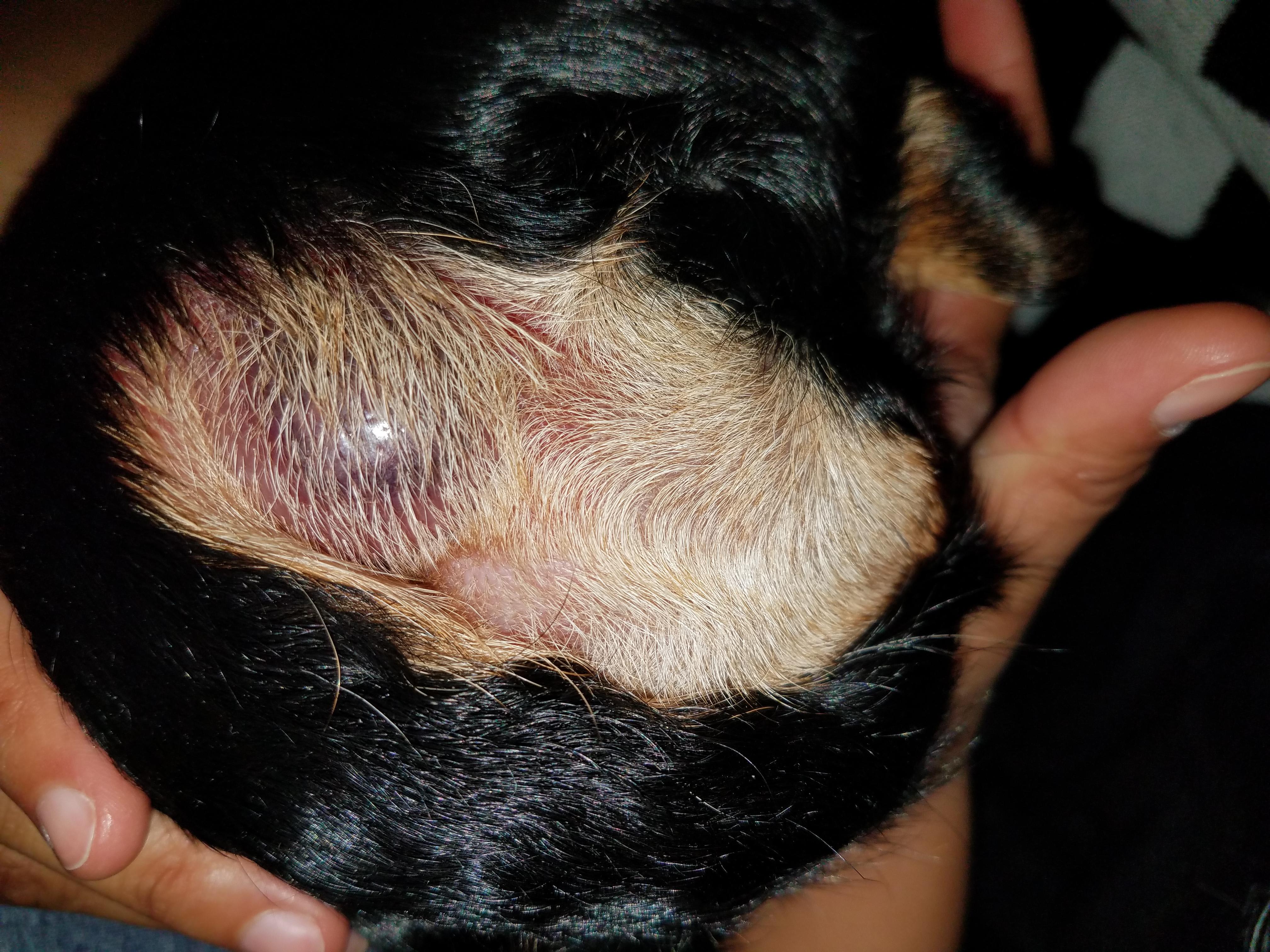 Question details sensitive content