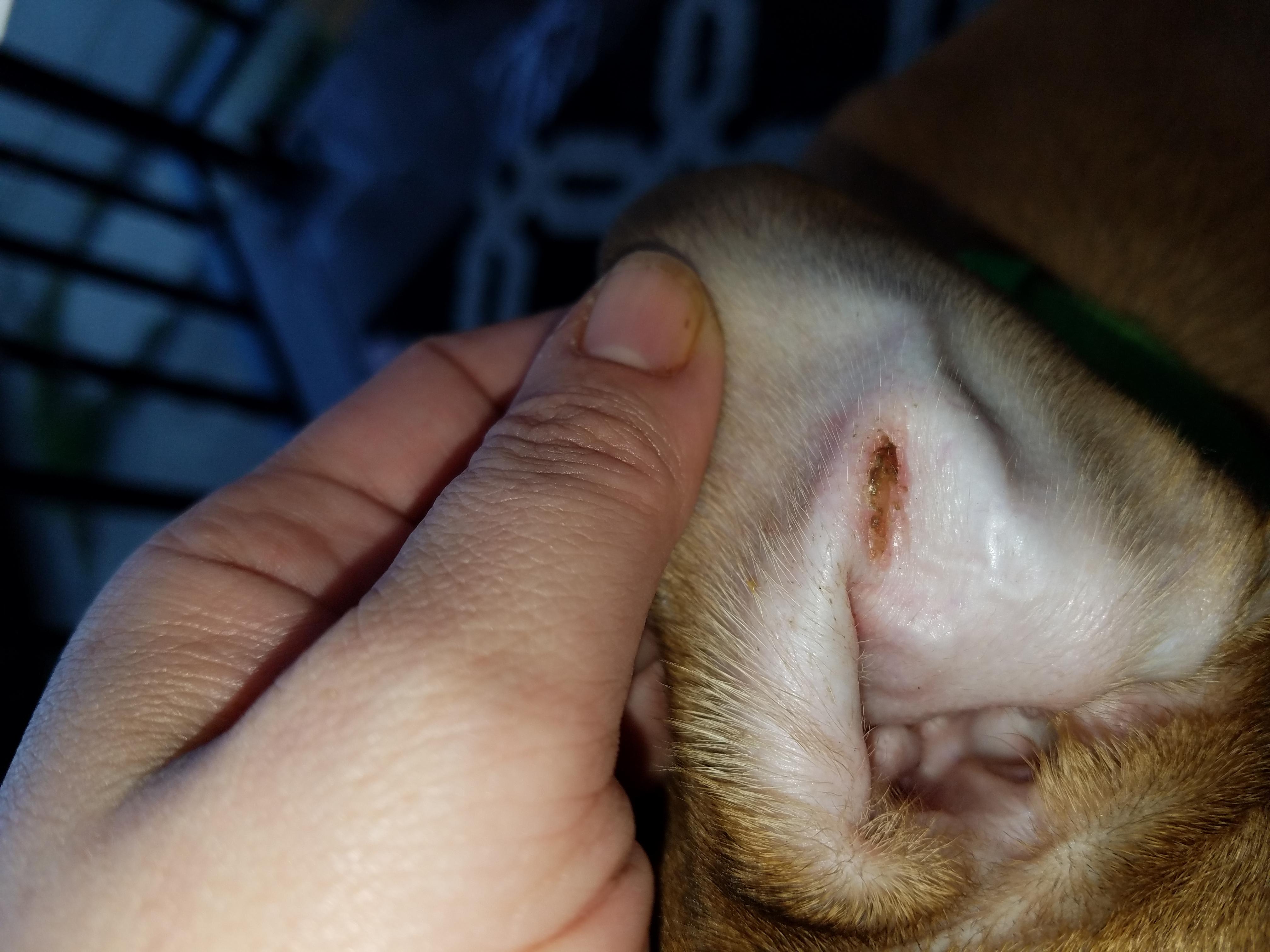 Question details sensitive content