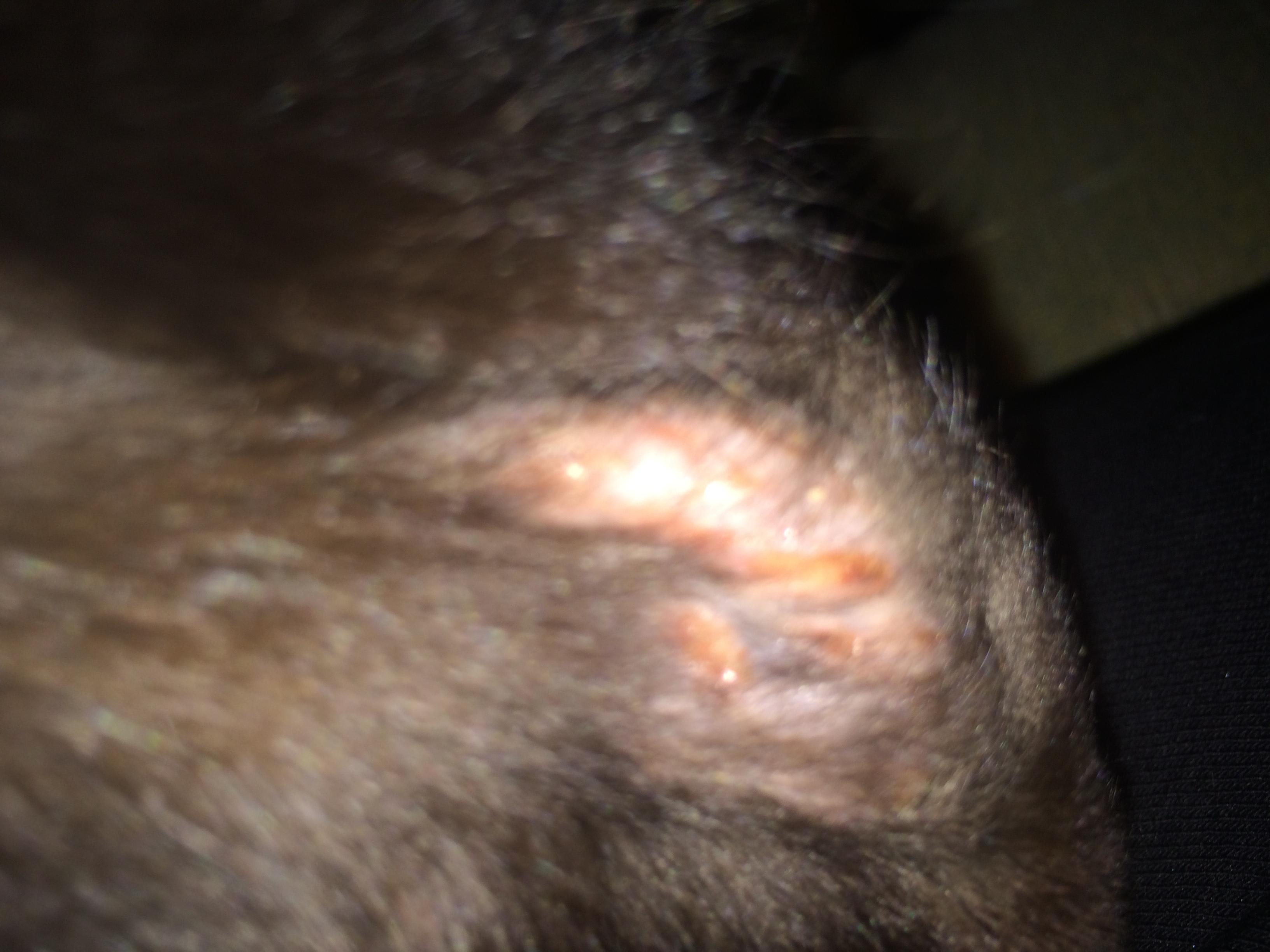 Question details sensitive content