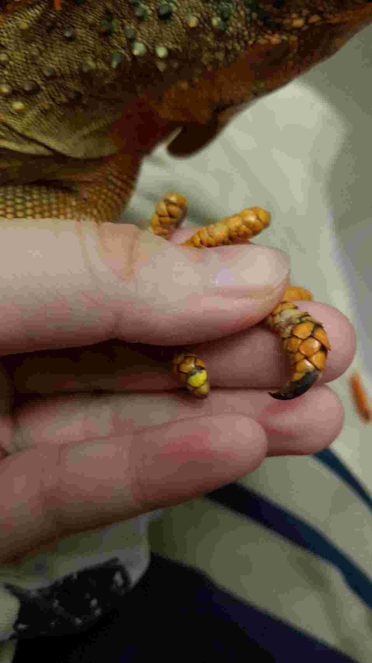 Question details sensitive content