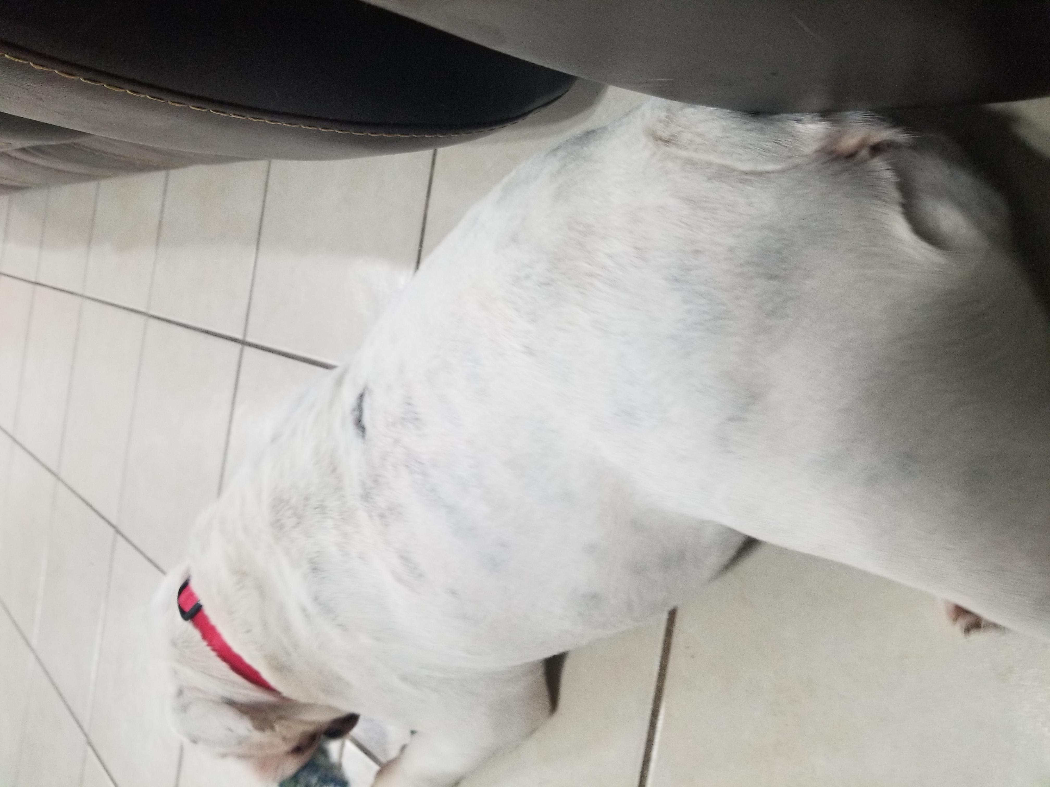 Question details sensitive content