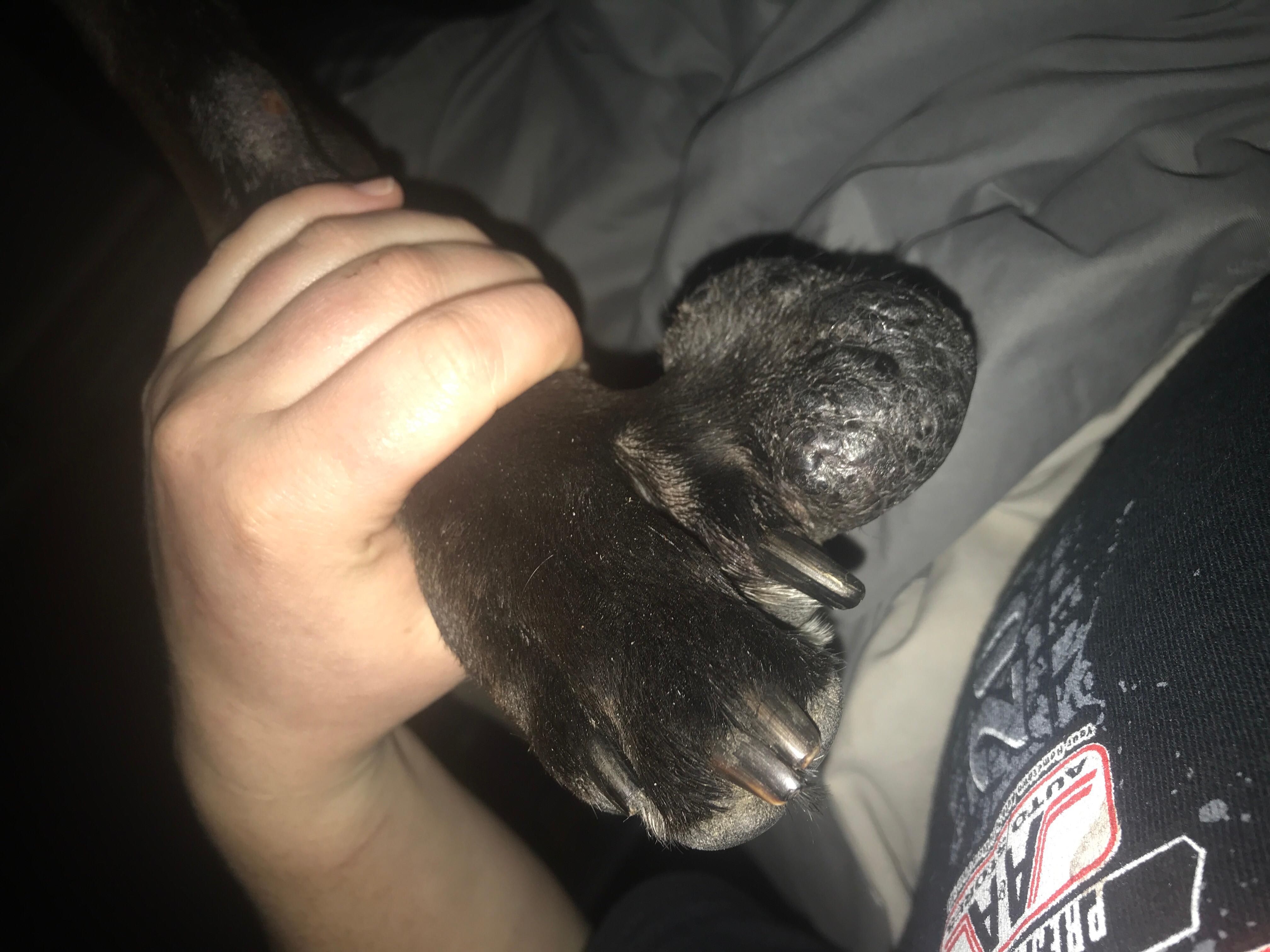 Question details sensitive content