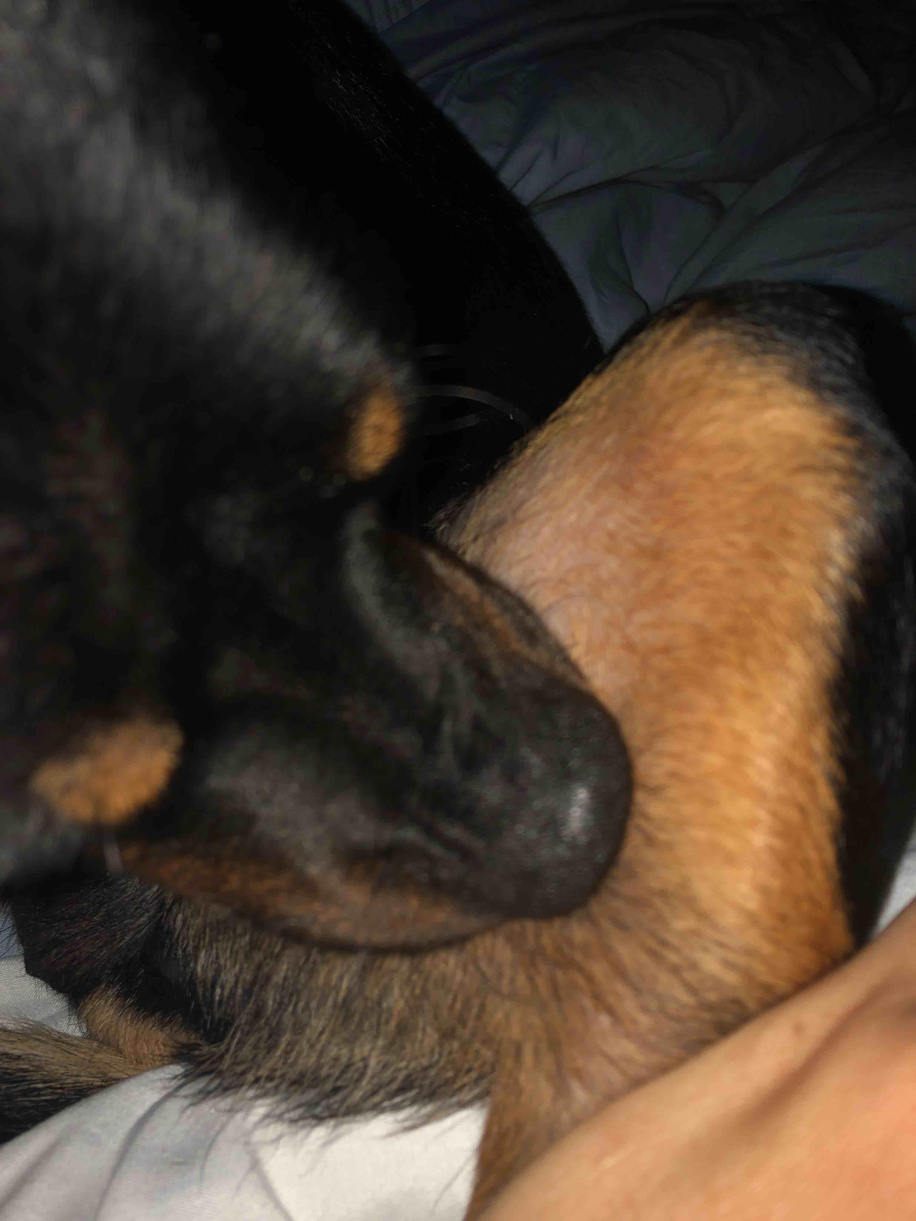 Question details sensitive content