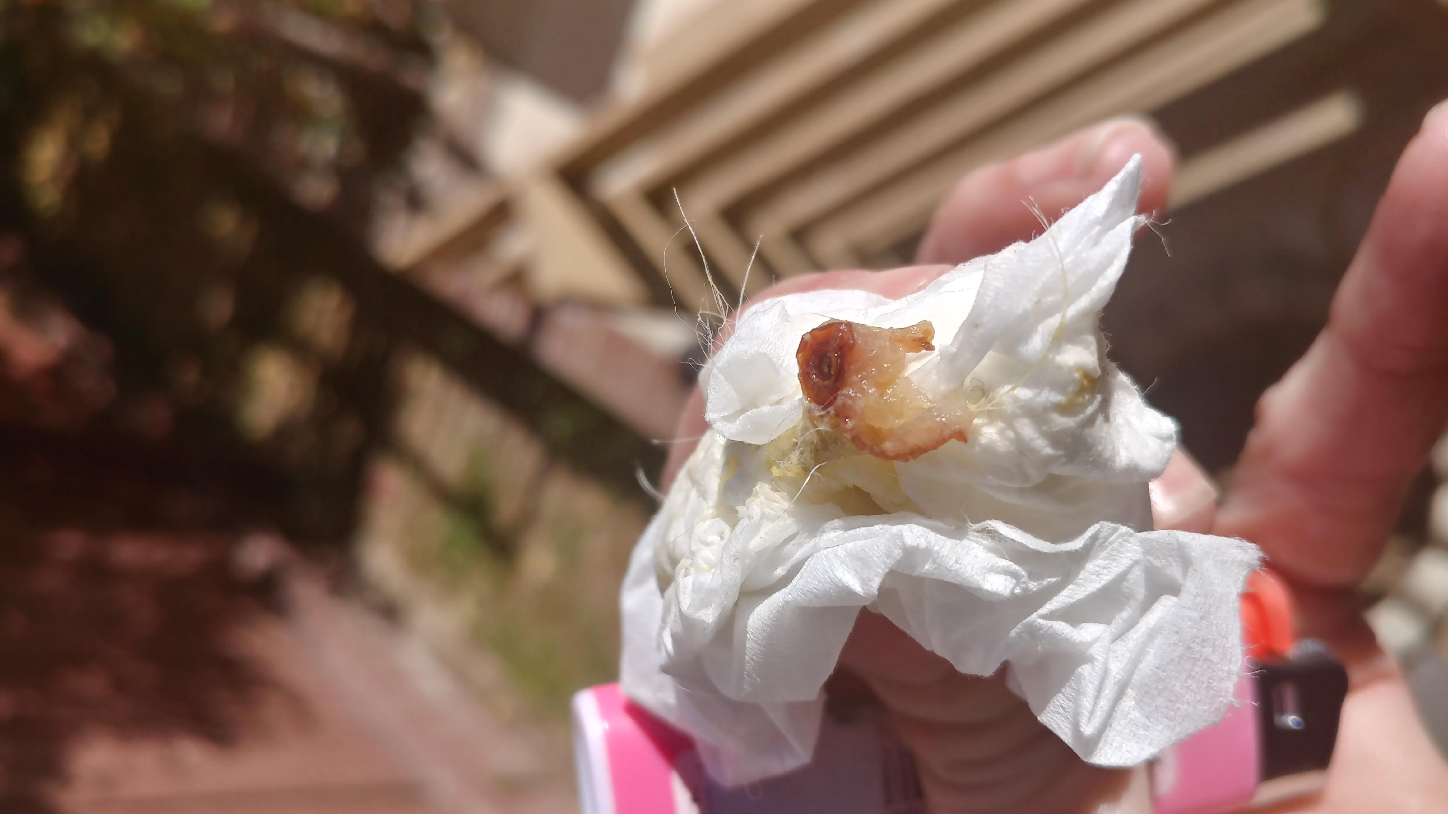 Question details sensitive content