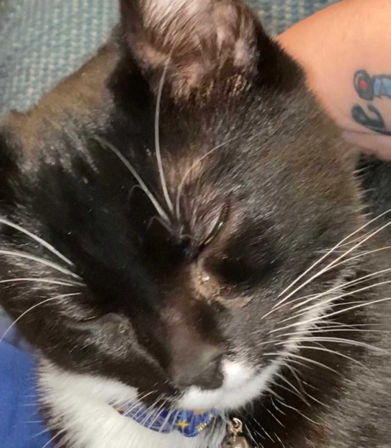 Question details sensitive content