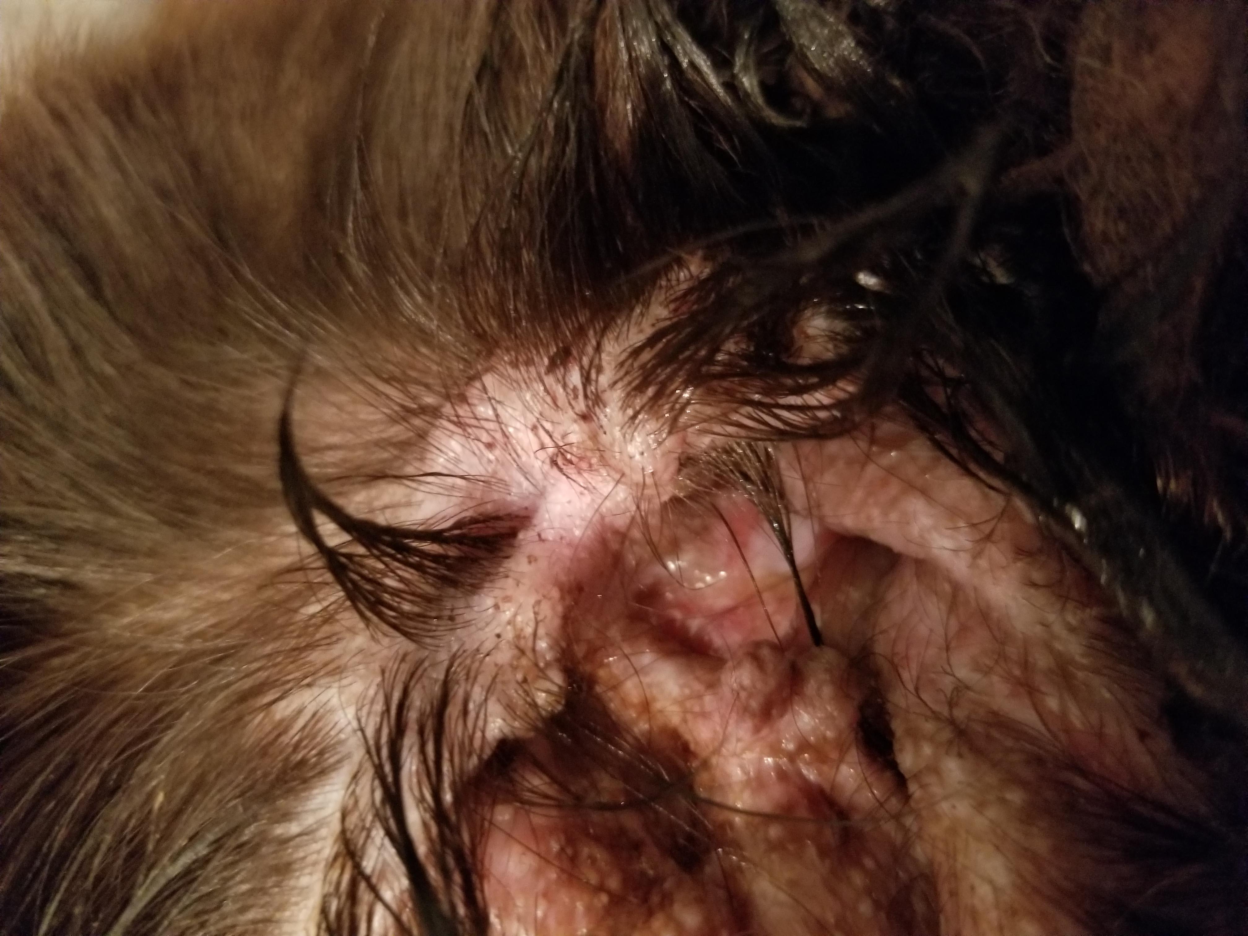 Question details sensitive content