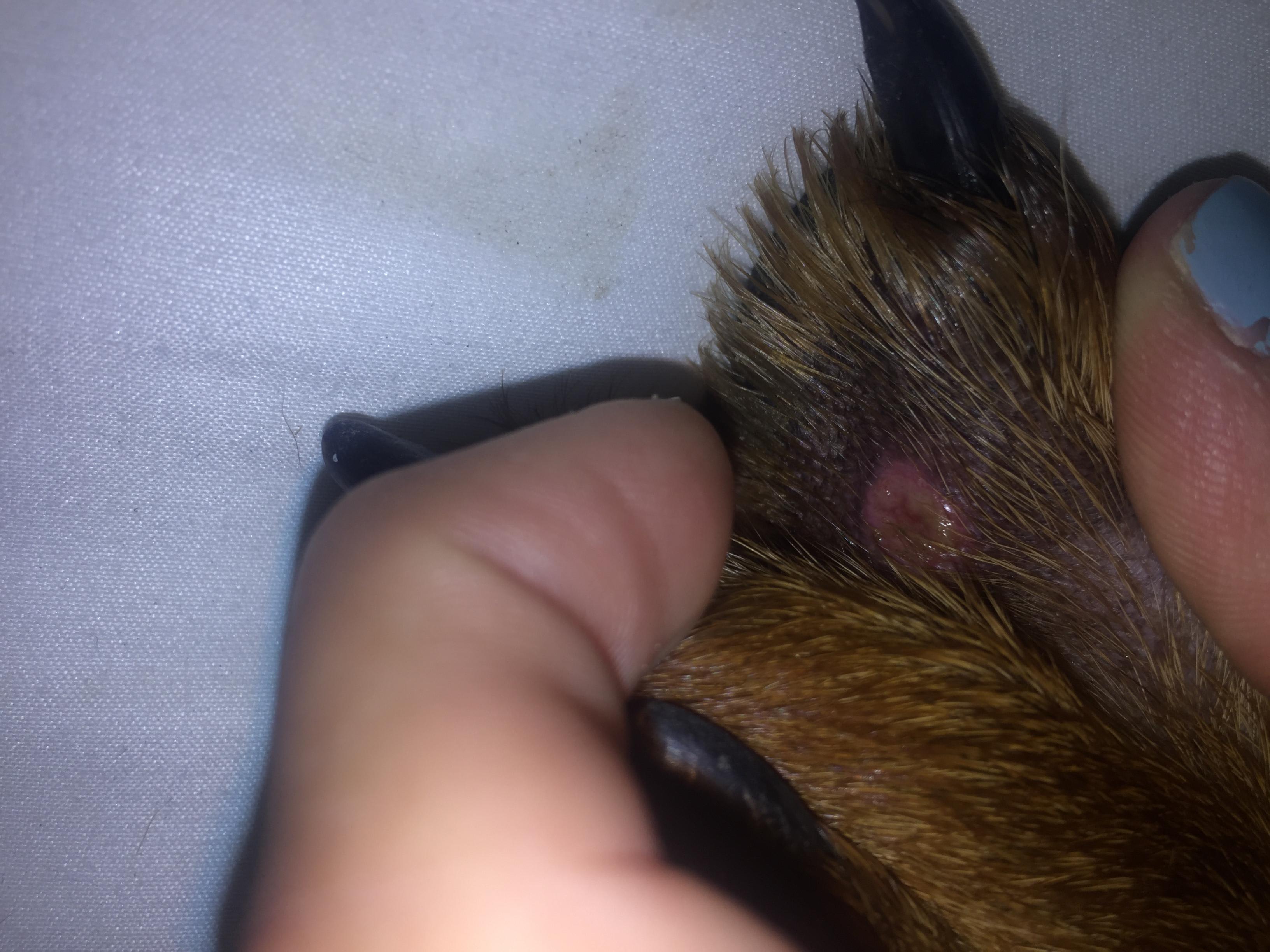 Question details sensitive content