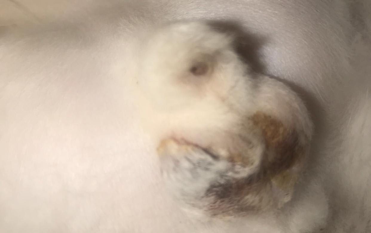 Question details sensitive content