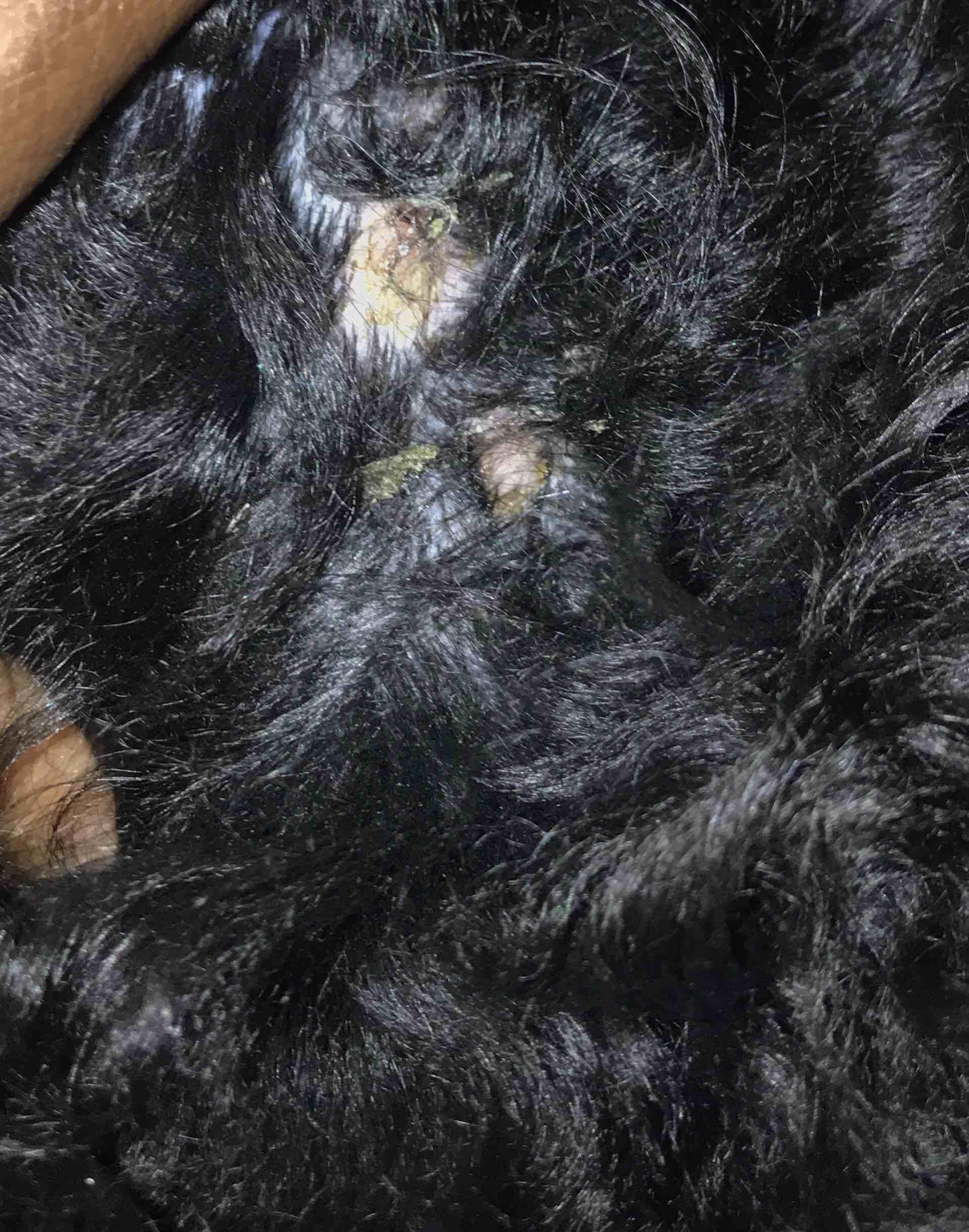 Question details sensitive content