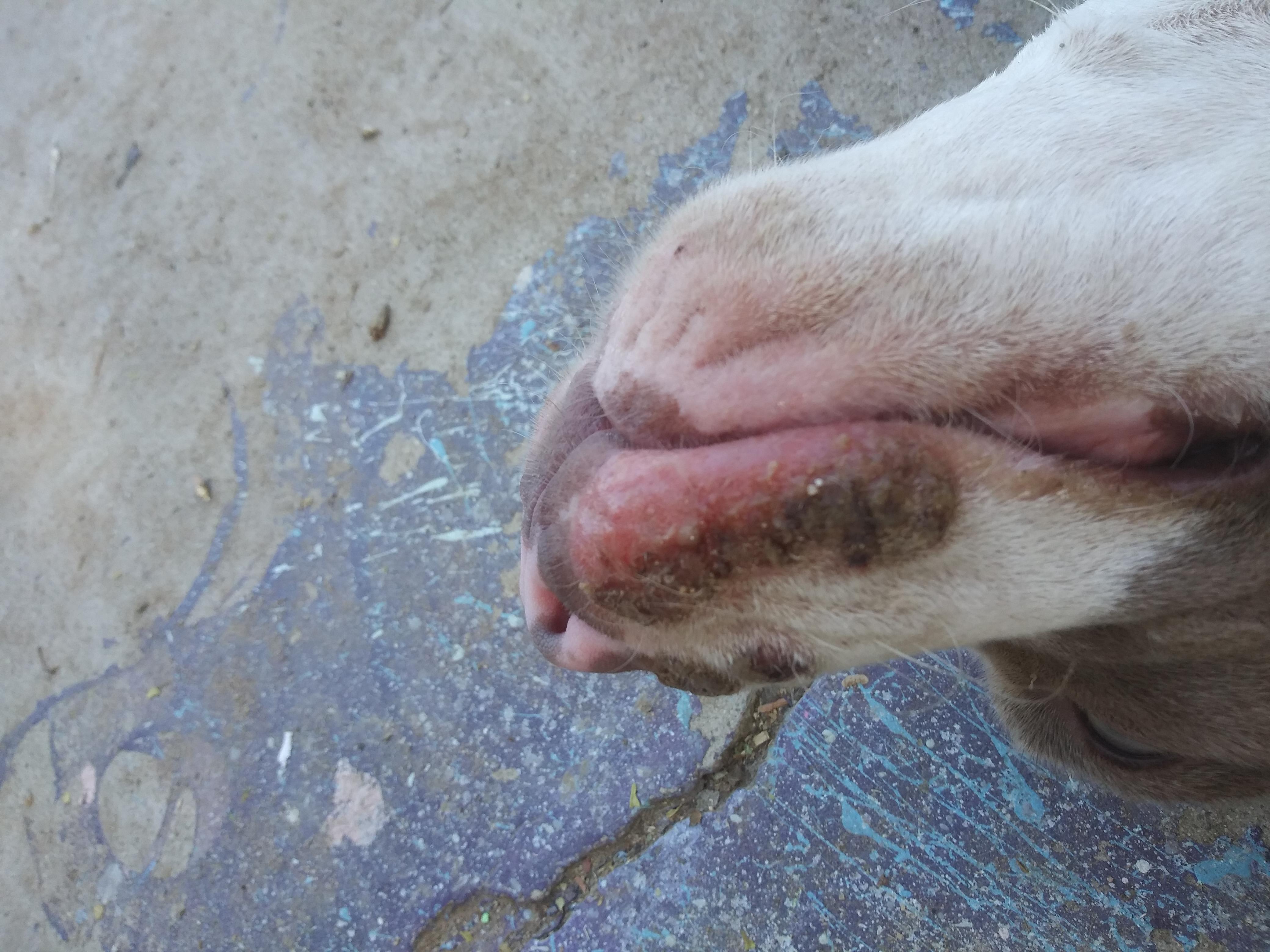 Question details sensitive content