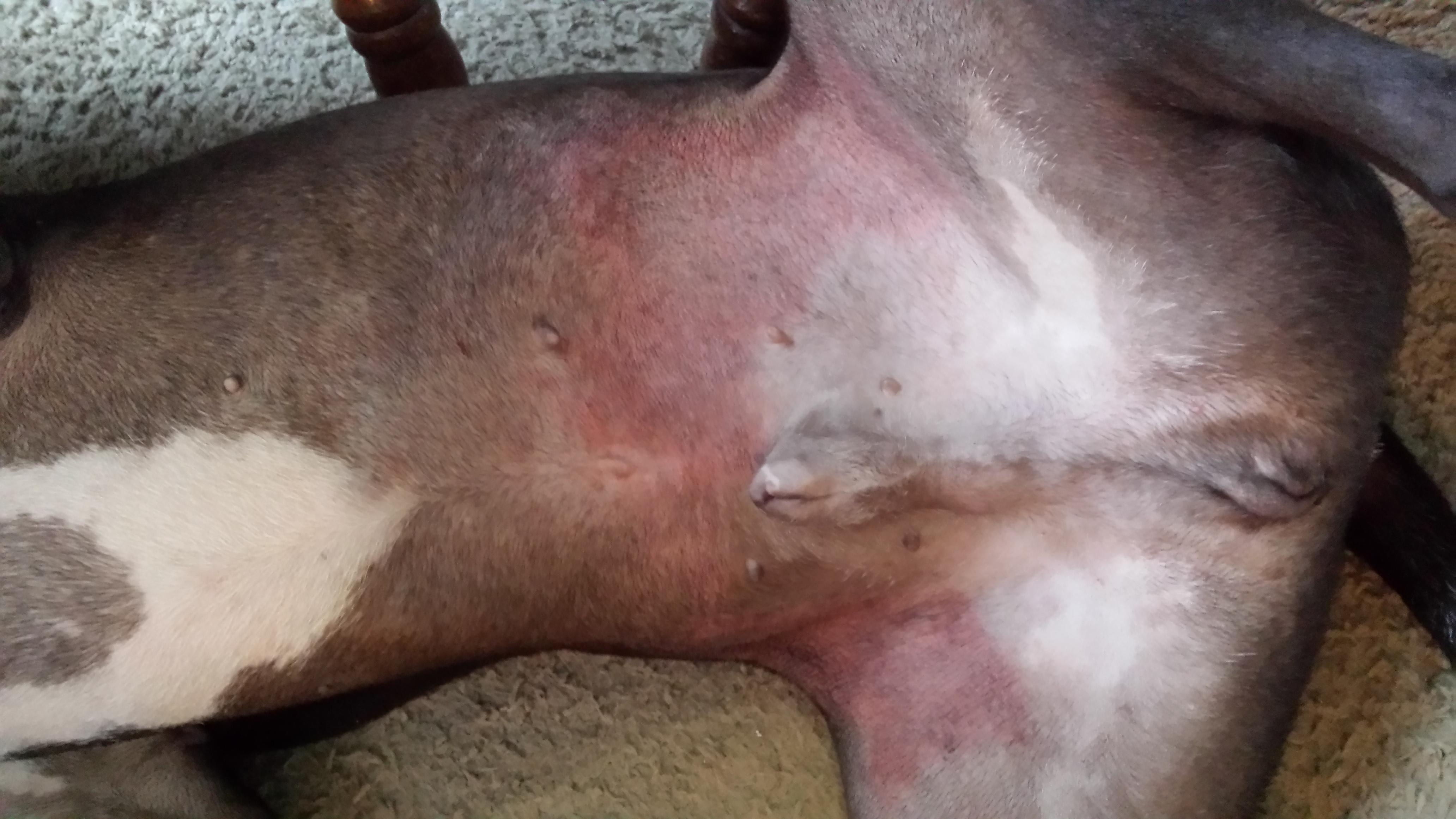 Question details sensitive content