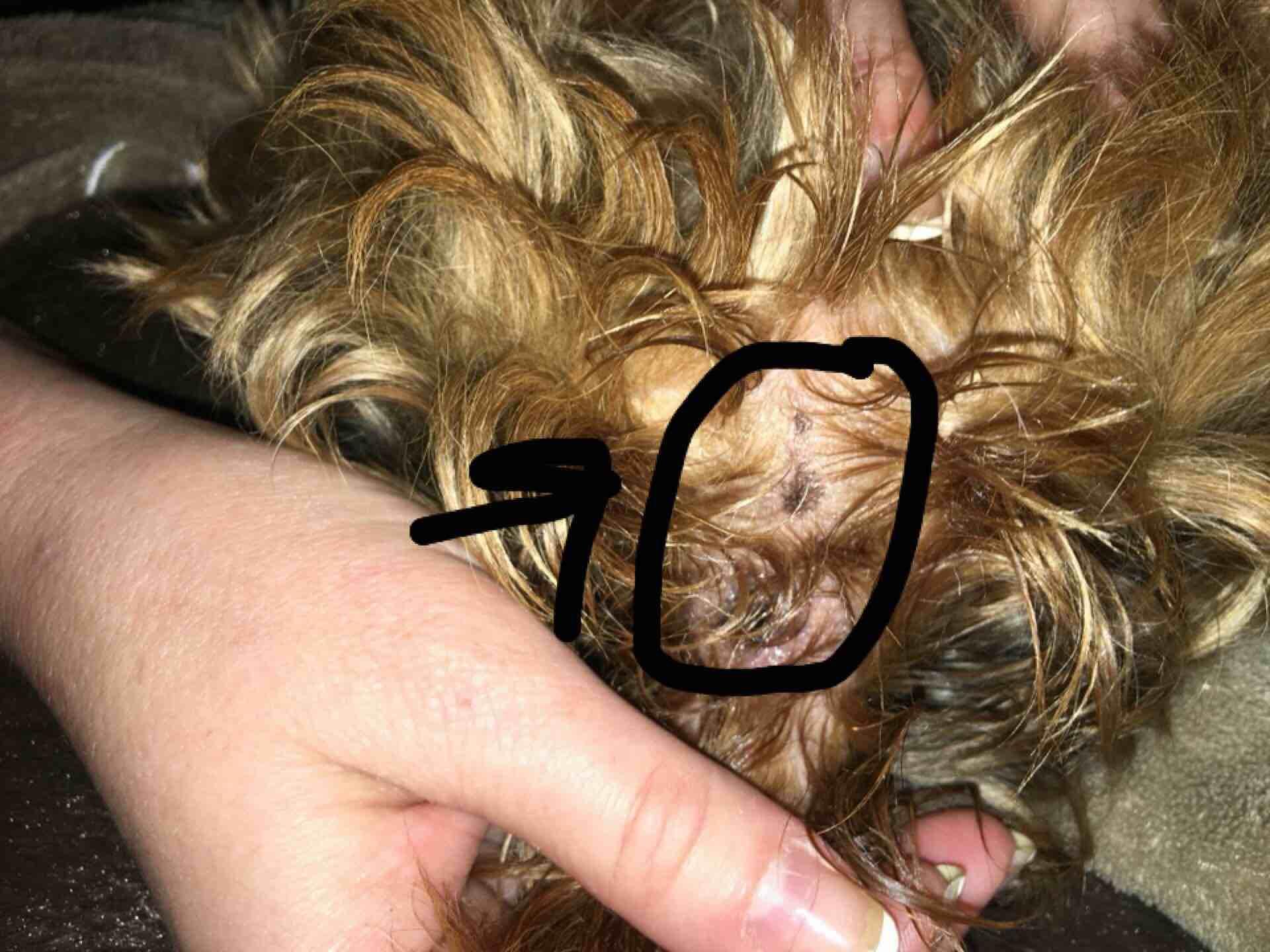 Question details sensitive content