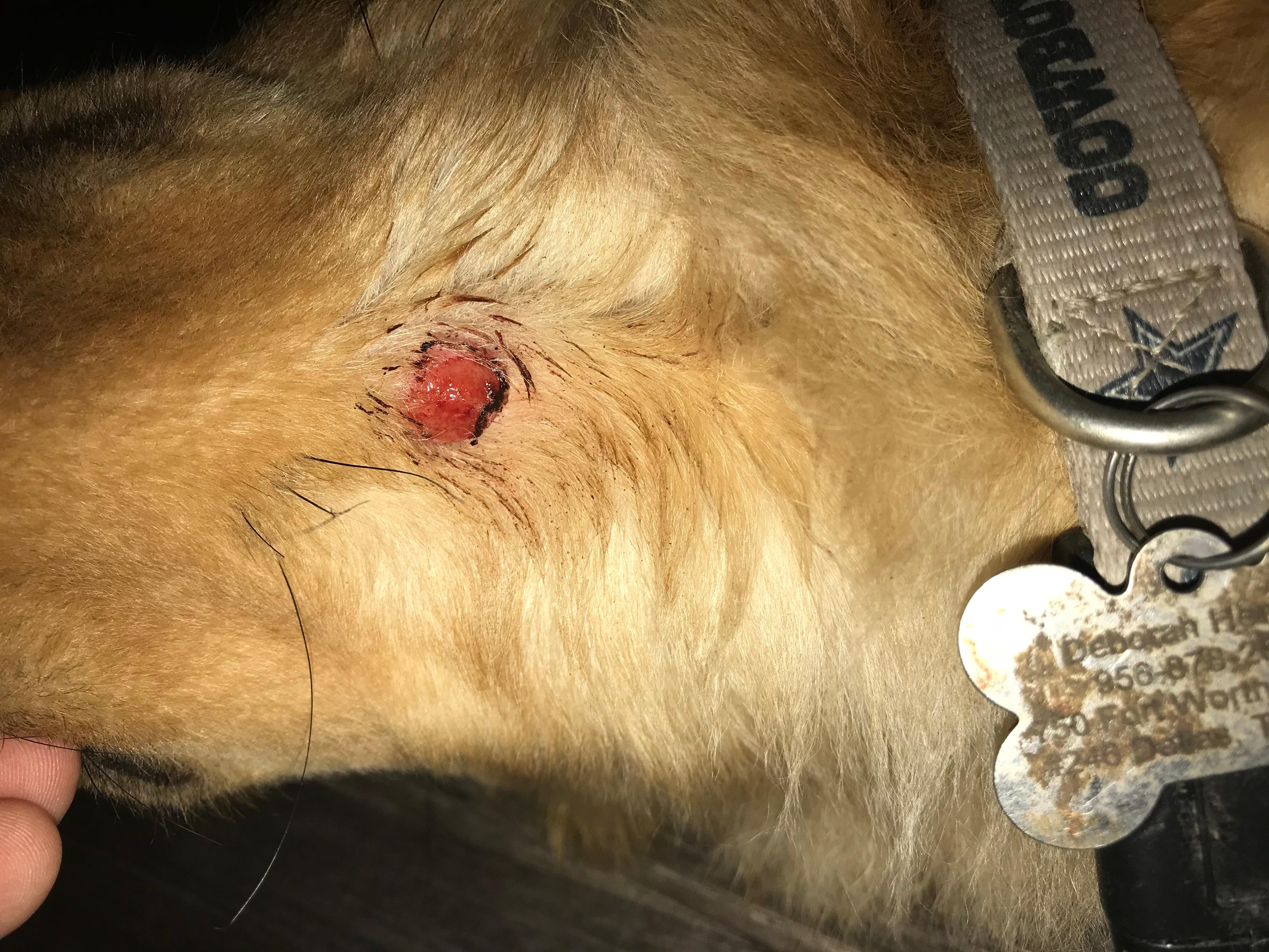 Question details sensitive content