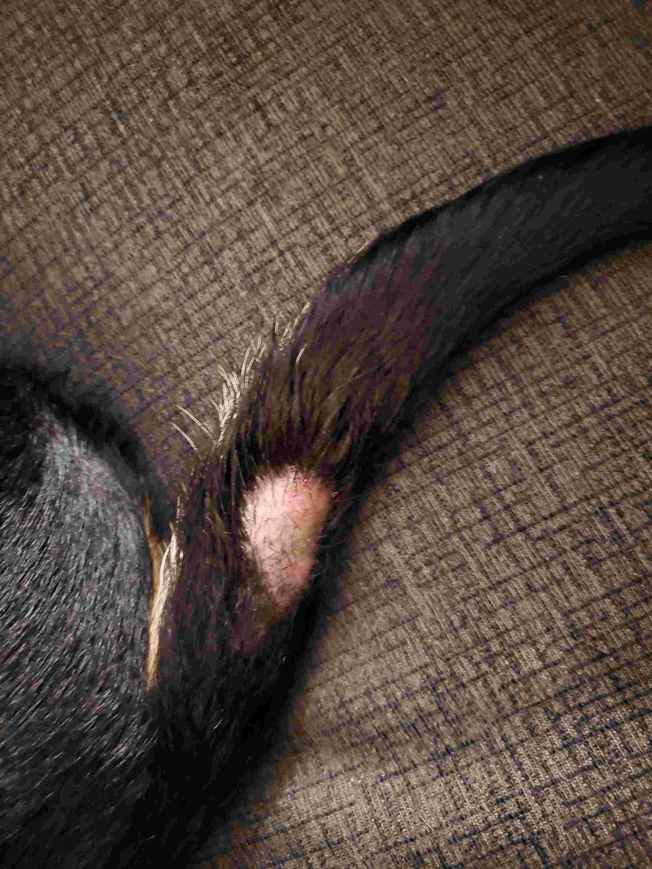 Question details sensitive content