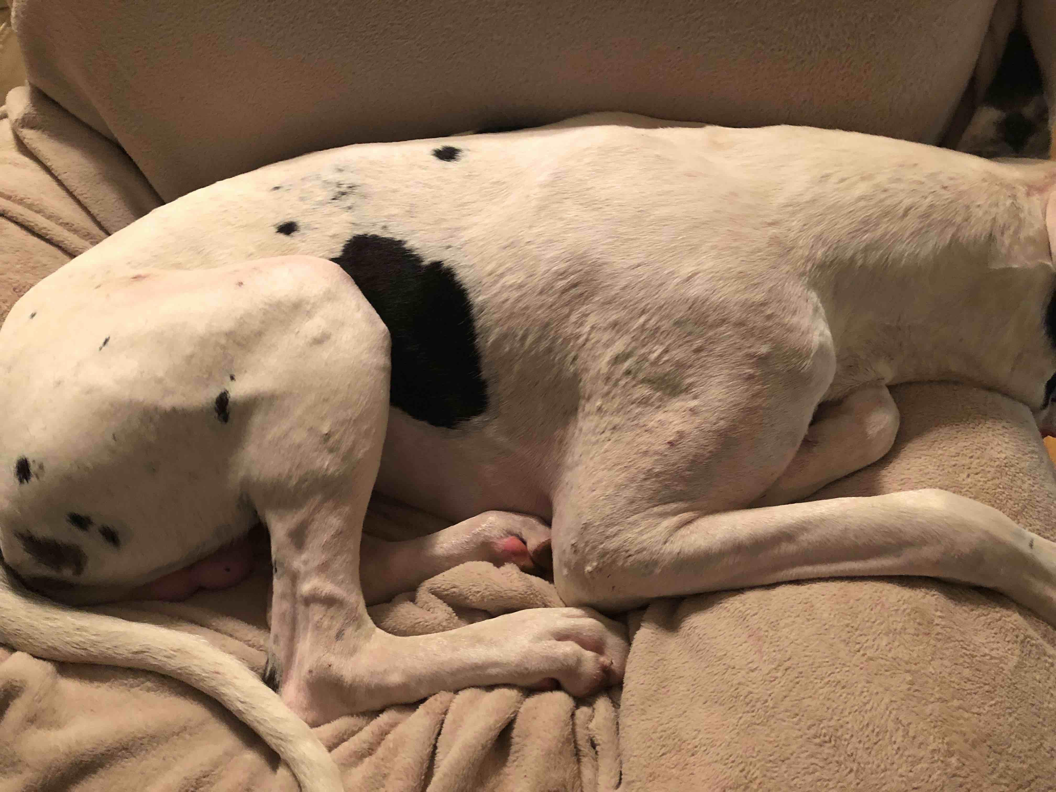 Question details sensitive content