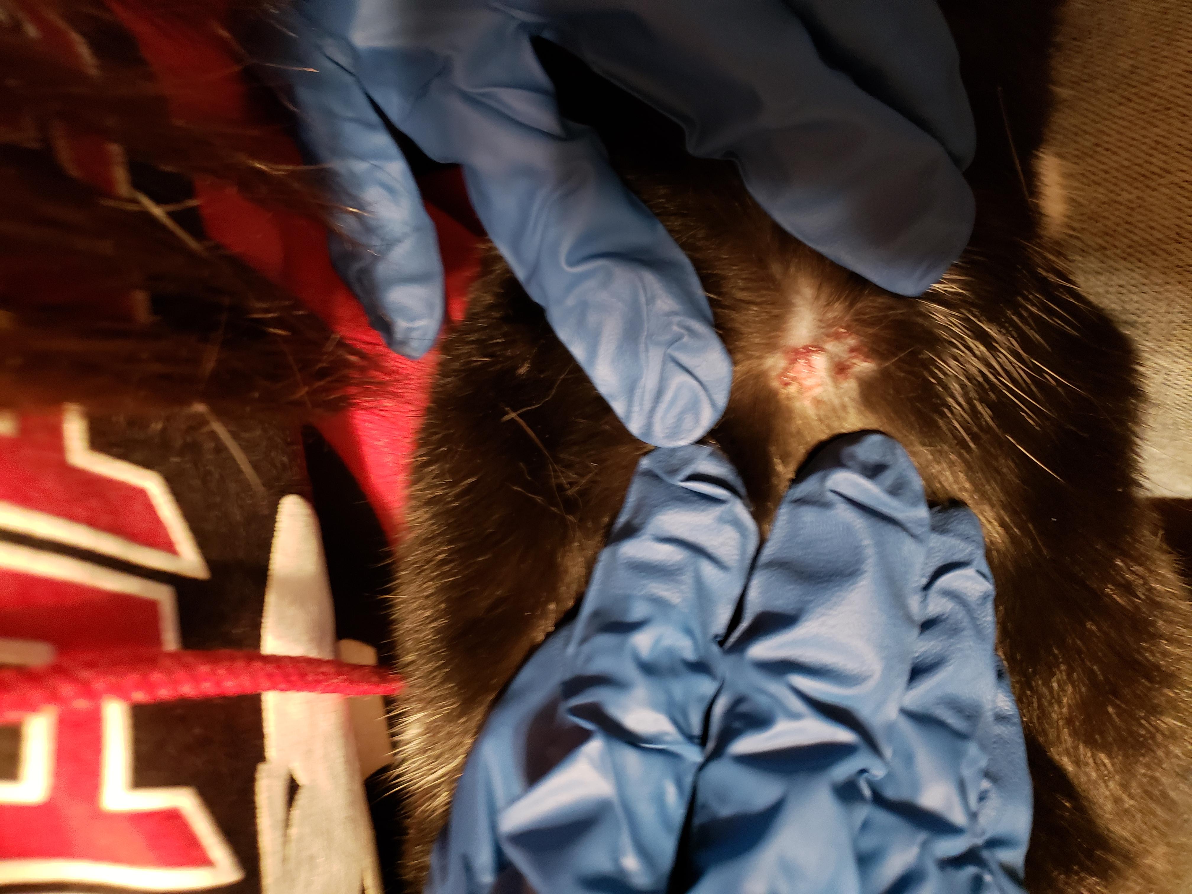 Question details sensitive content