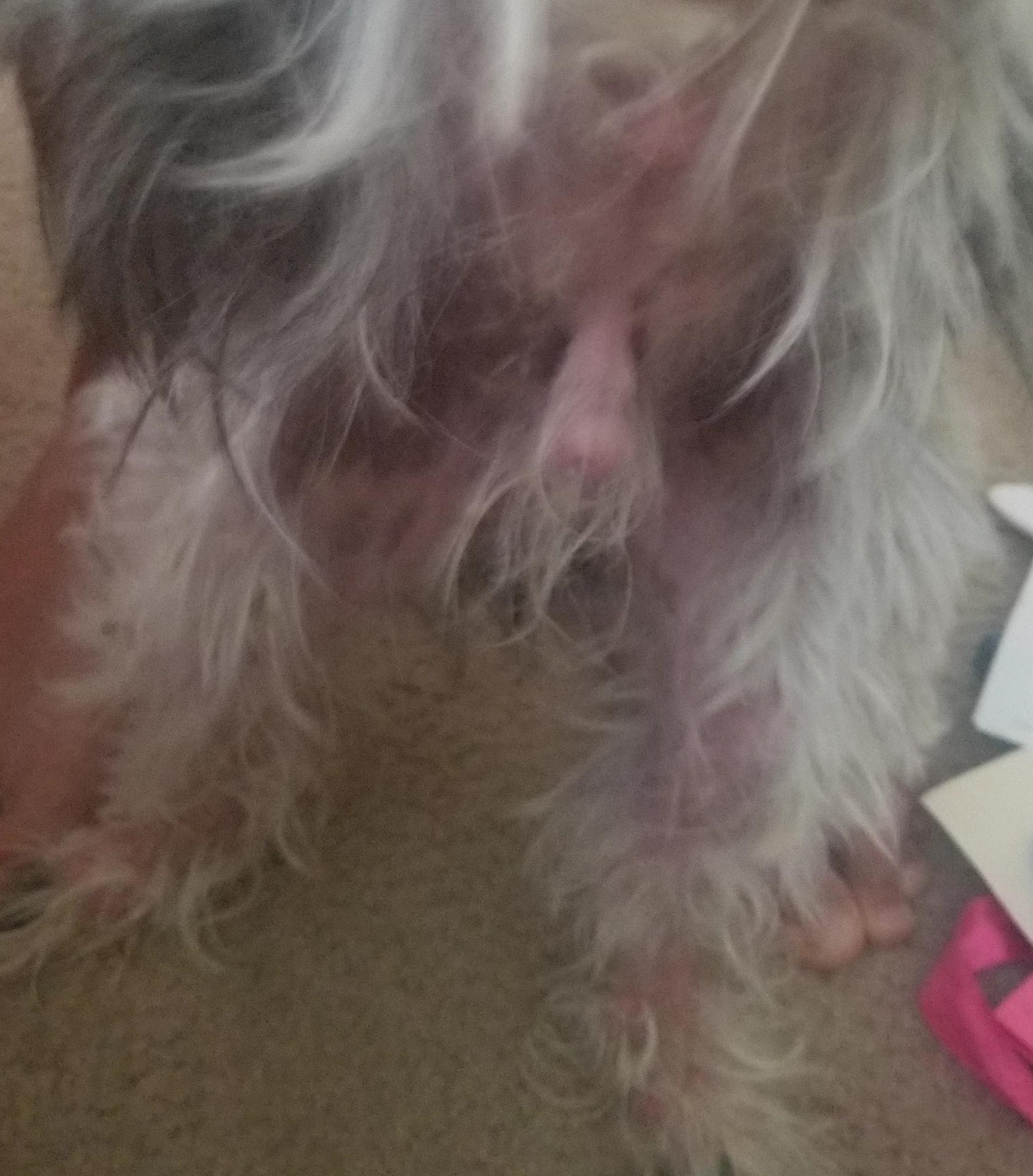 Question details sensitive content