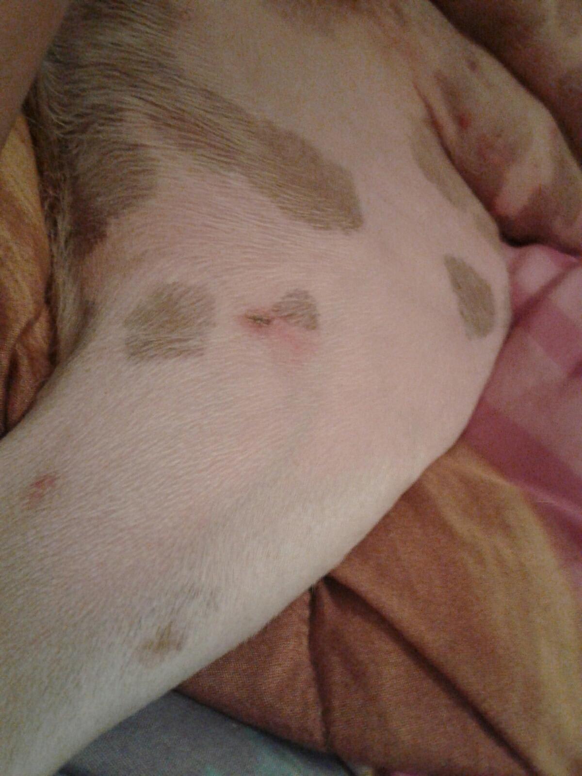 Question details sensitive content