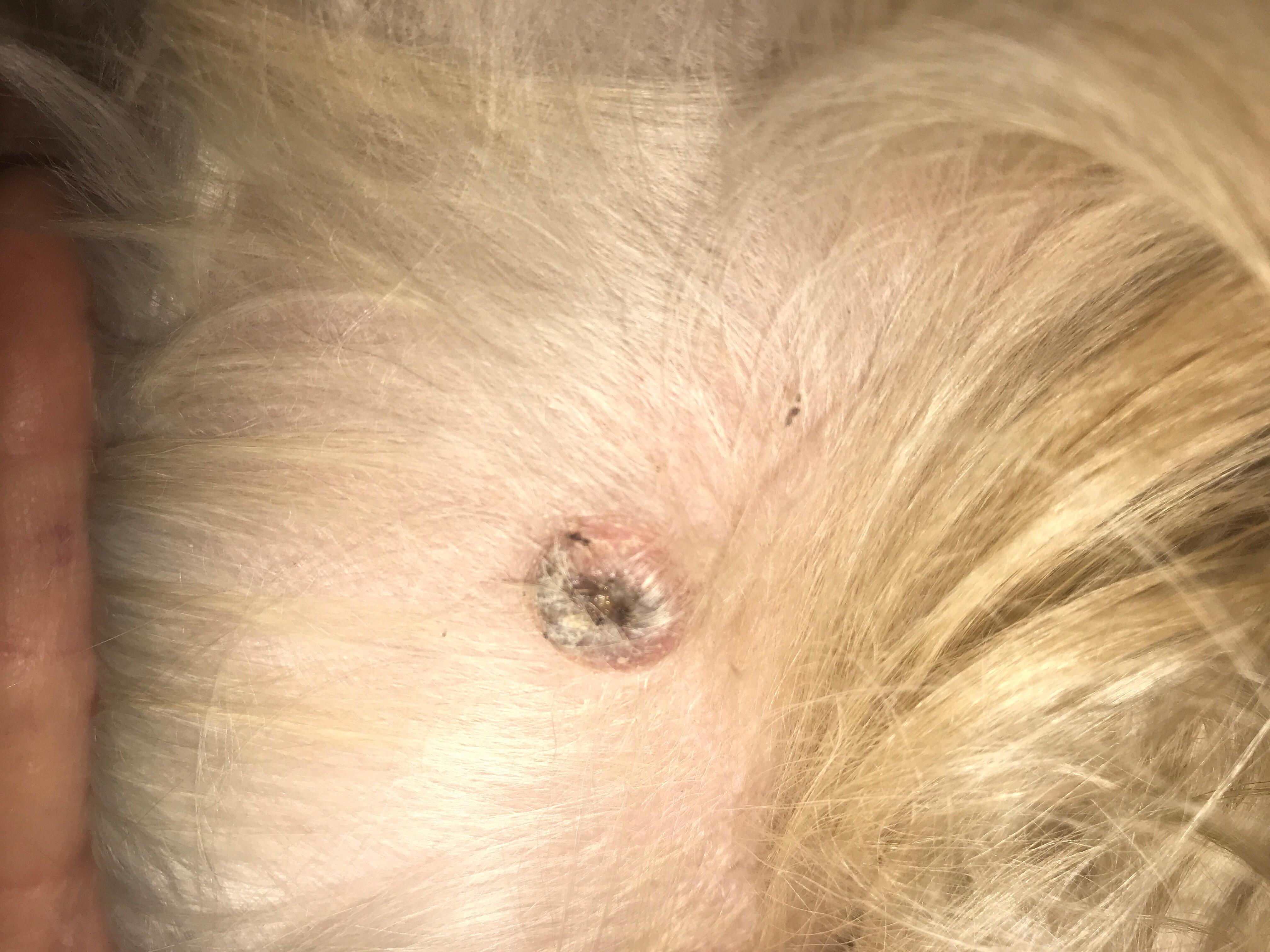 Question details sensitive content