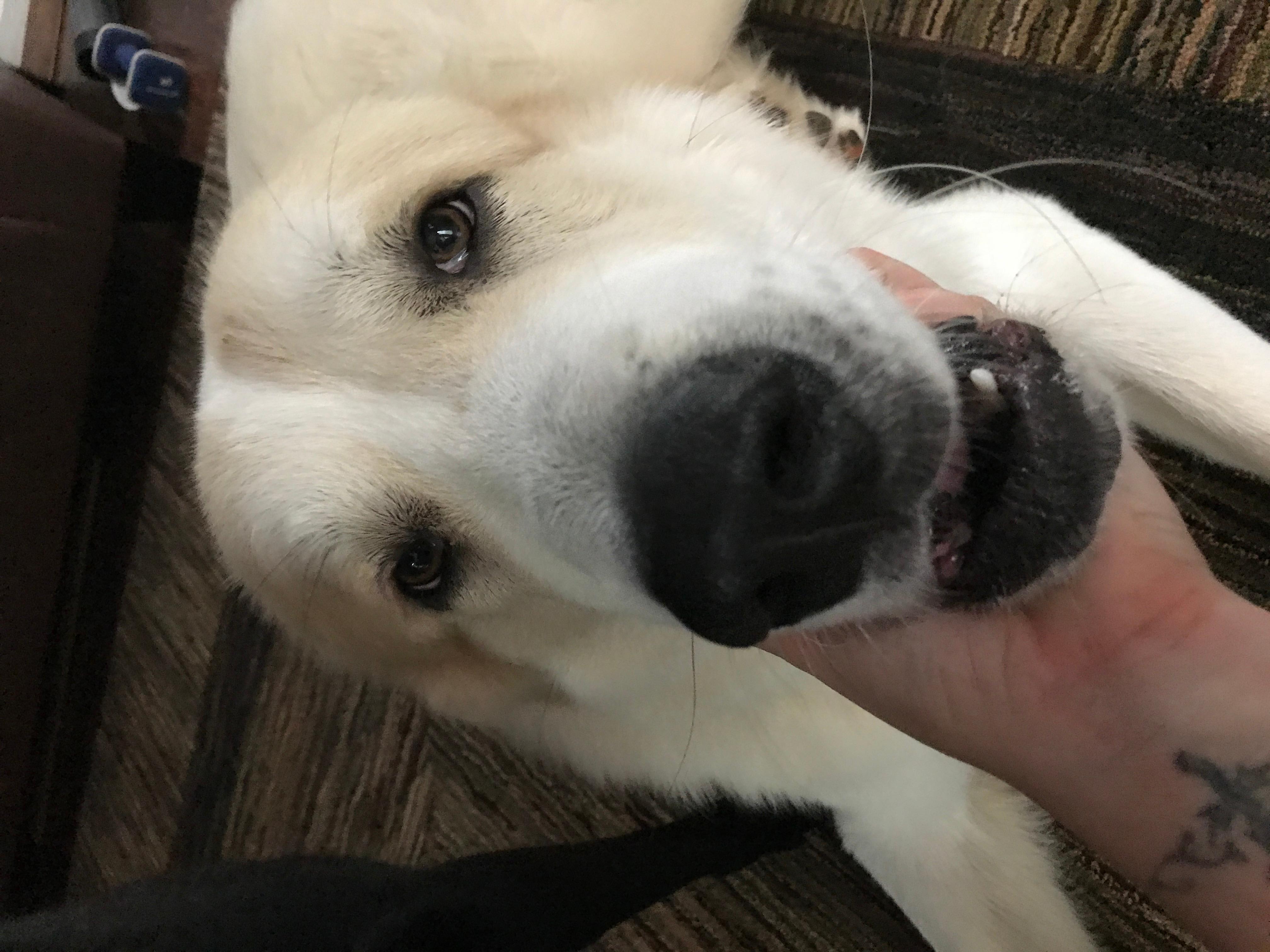 Question details sensitive content