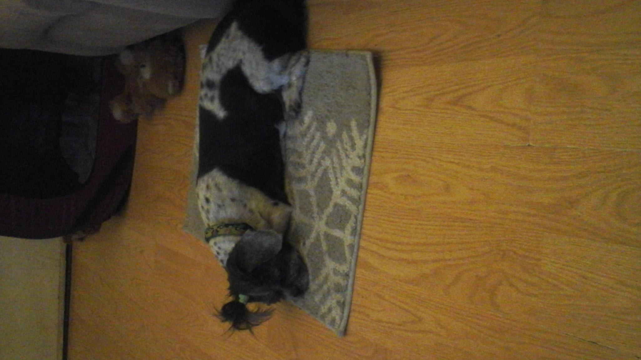 Question details sensitive content