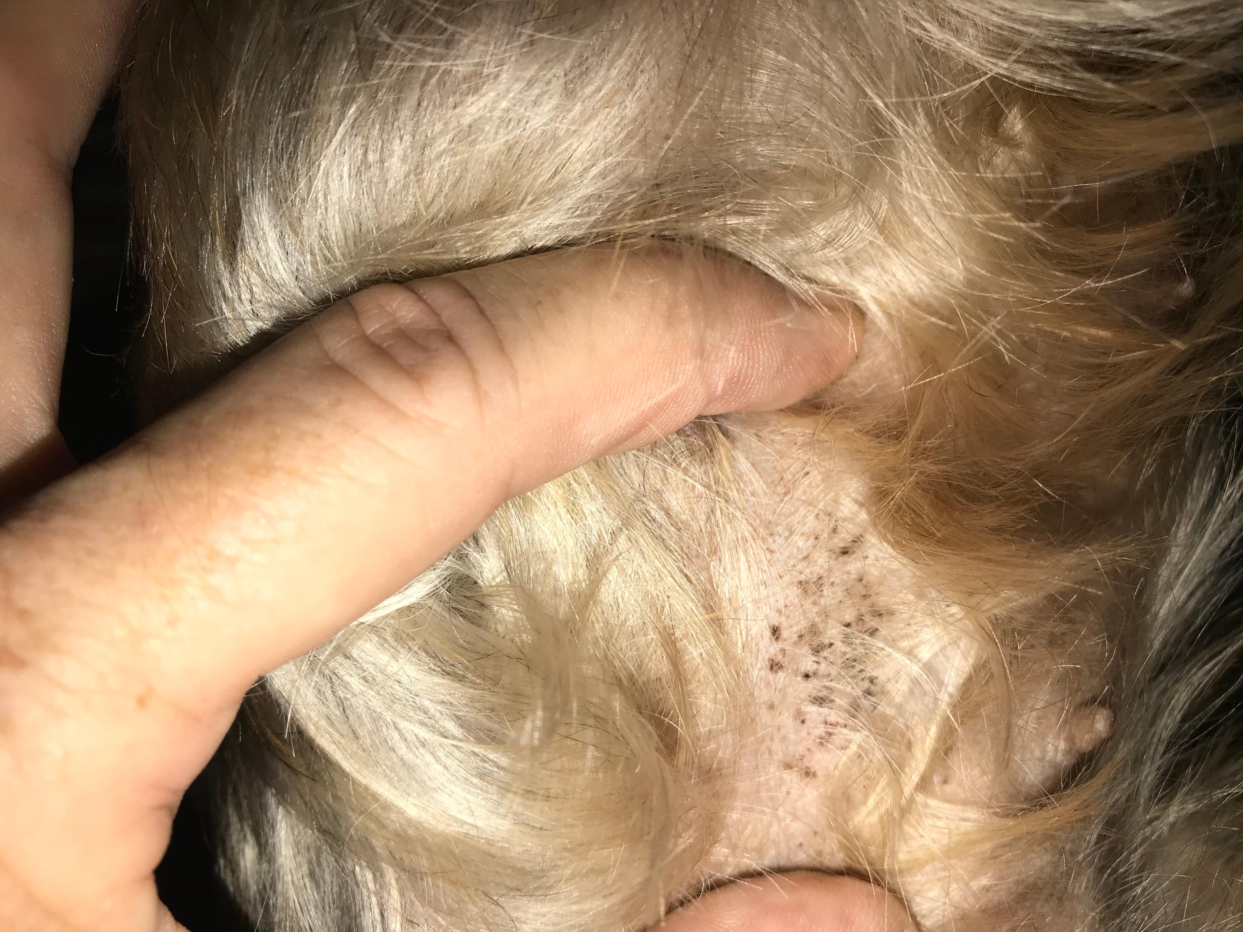 Question details sensitive content