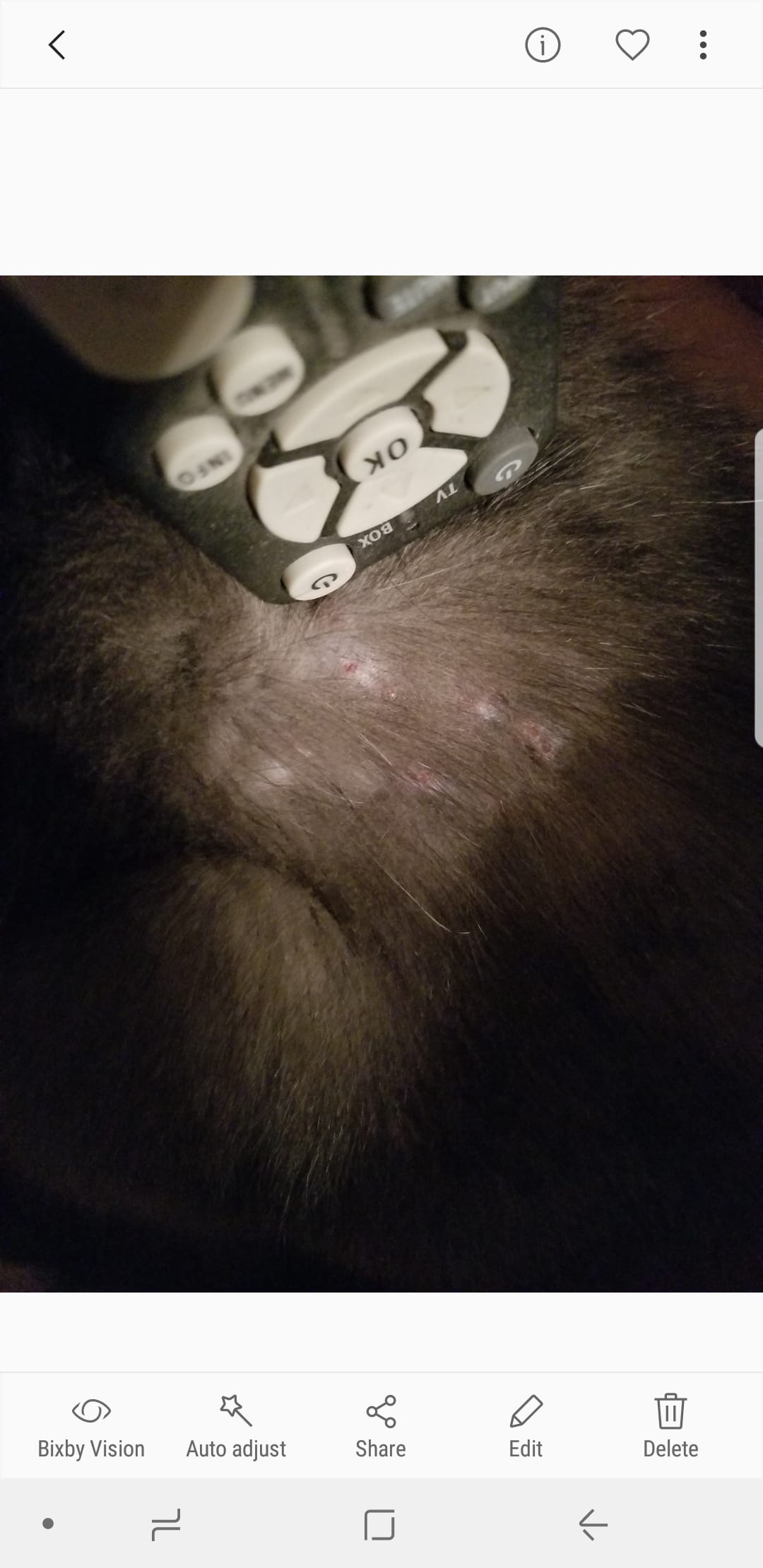 Question details sensitive content