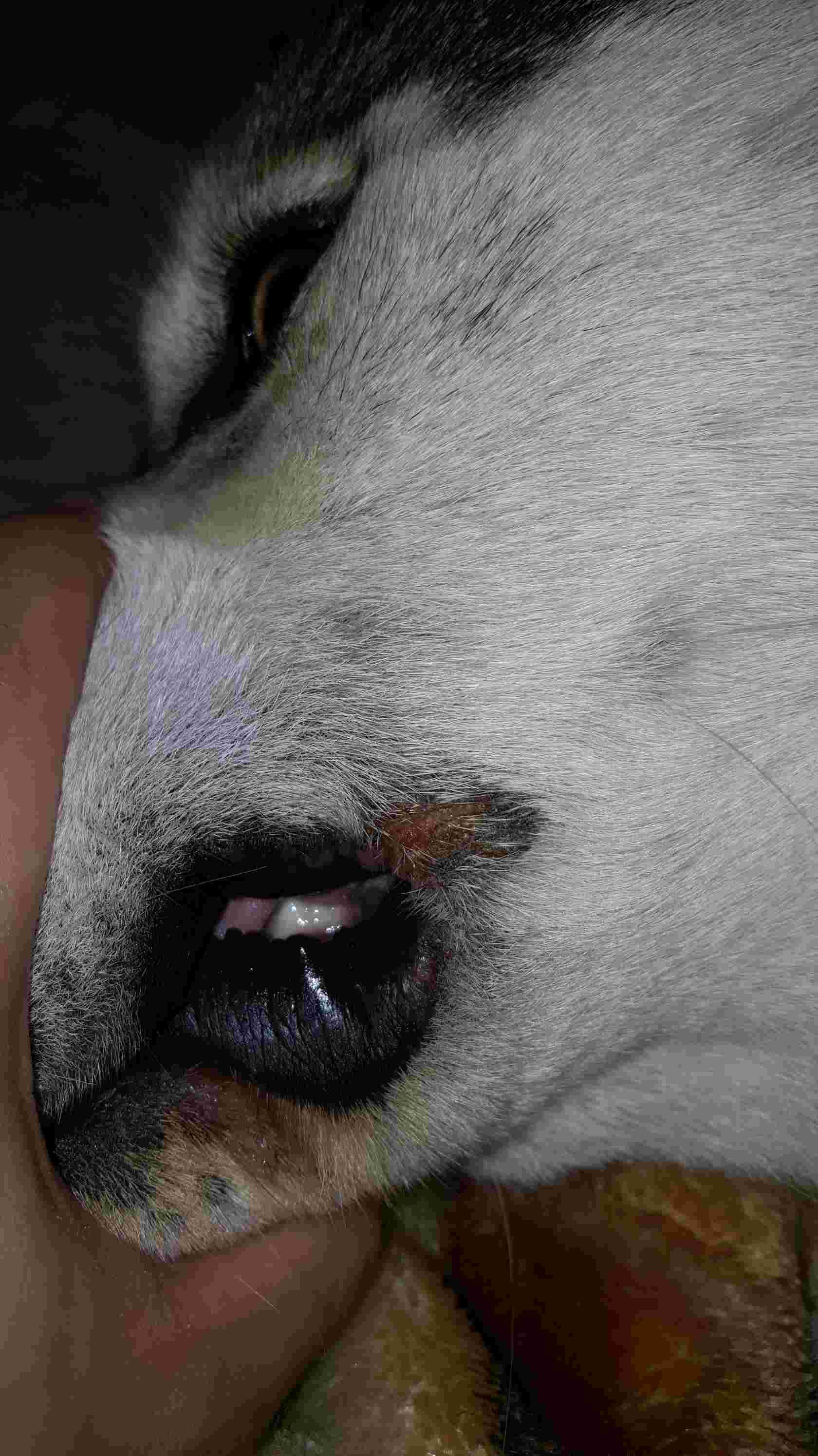 Question details sensitive content