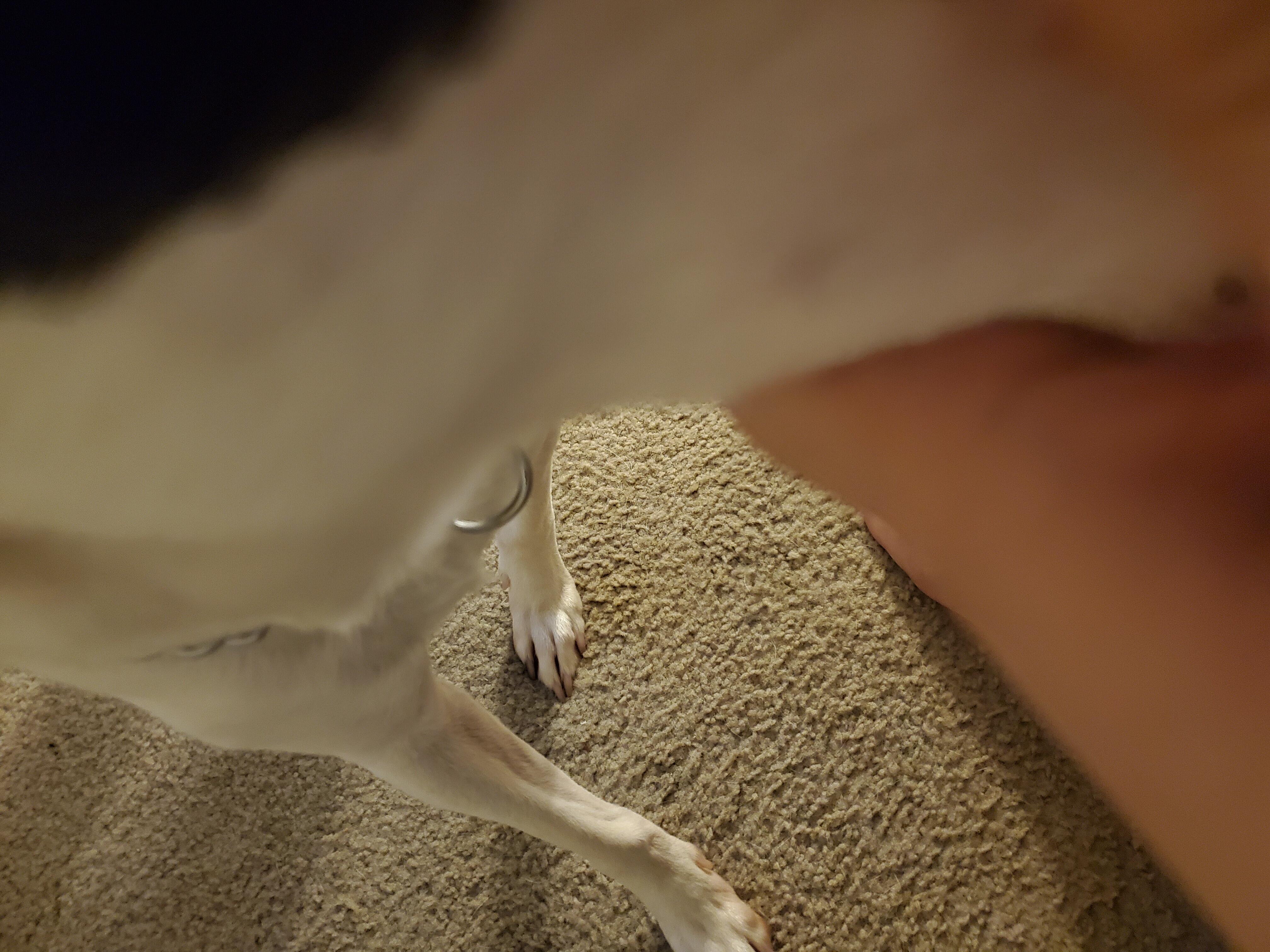 Question details sensitive content