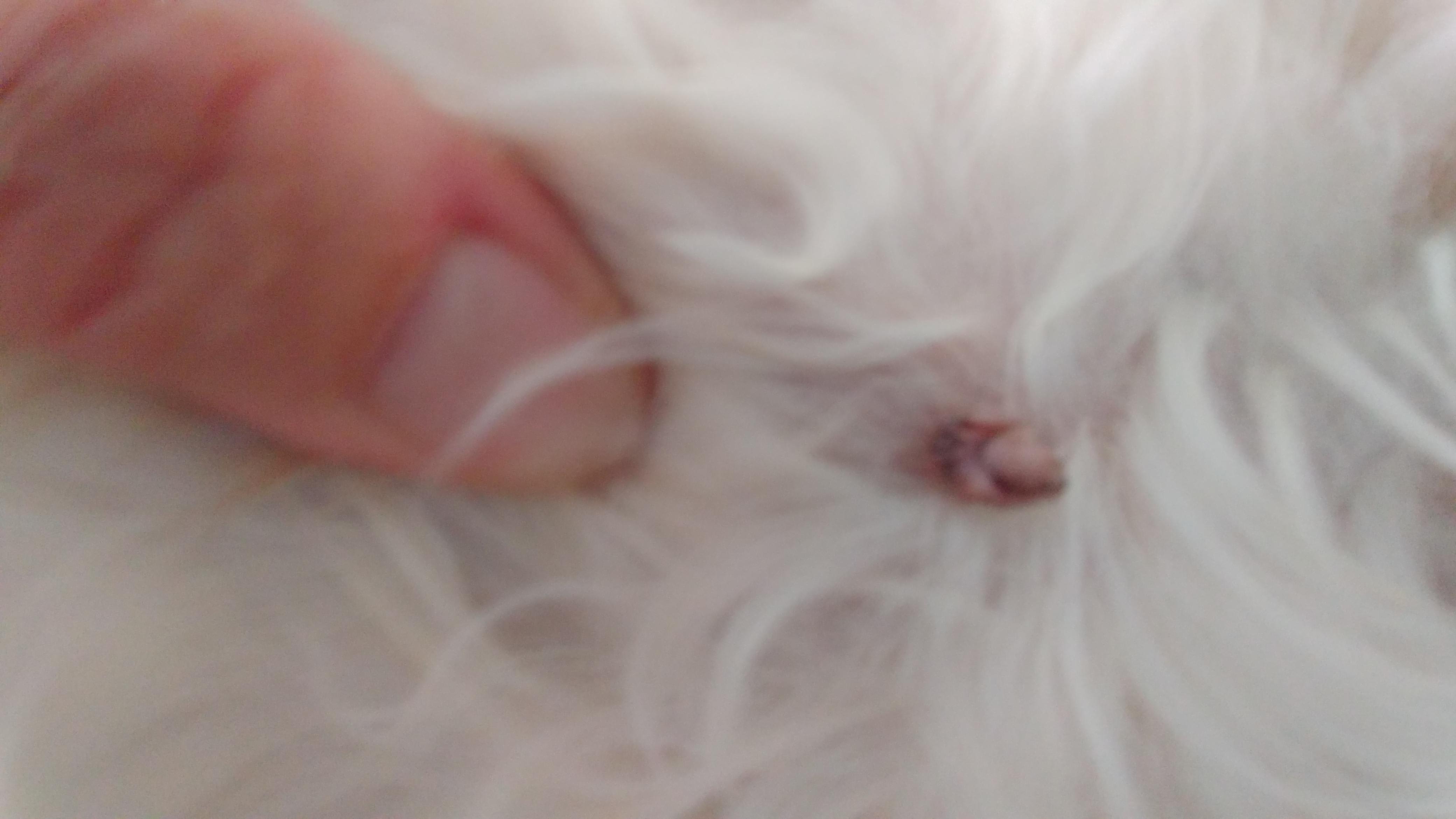 Question details sensitive content