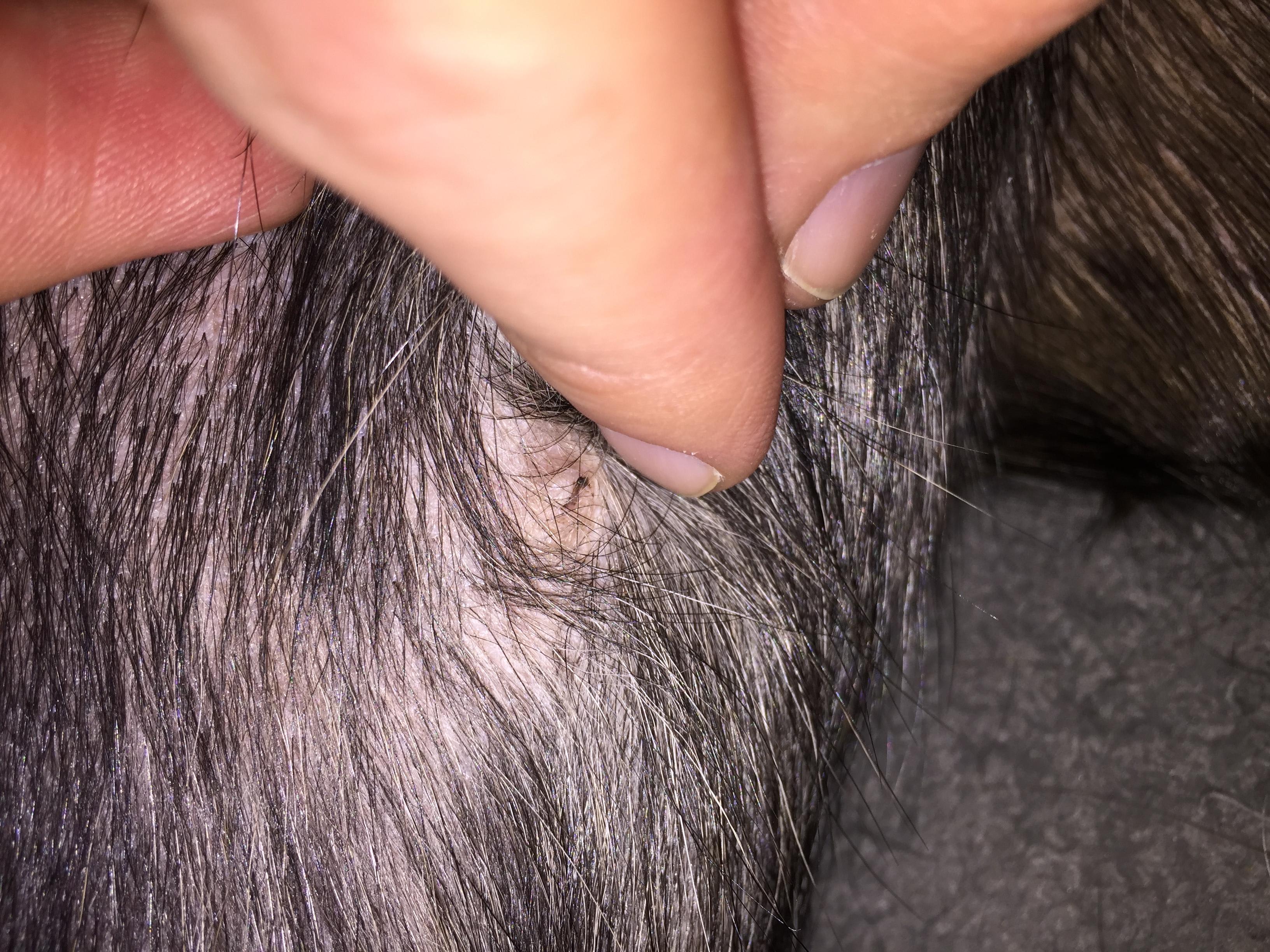 Question details sensitive content