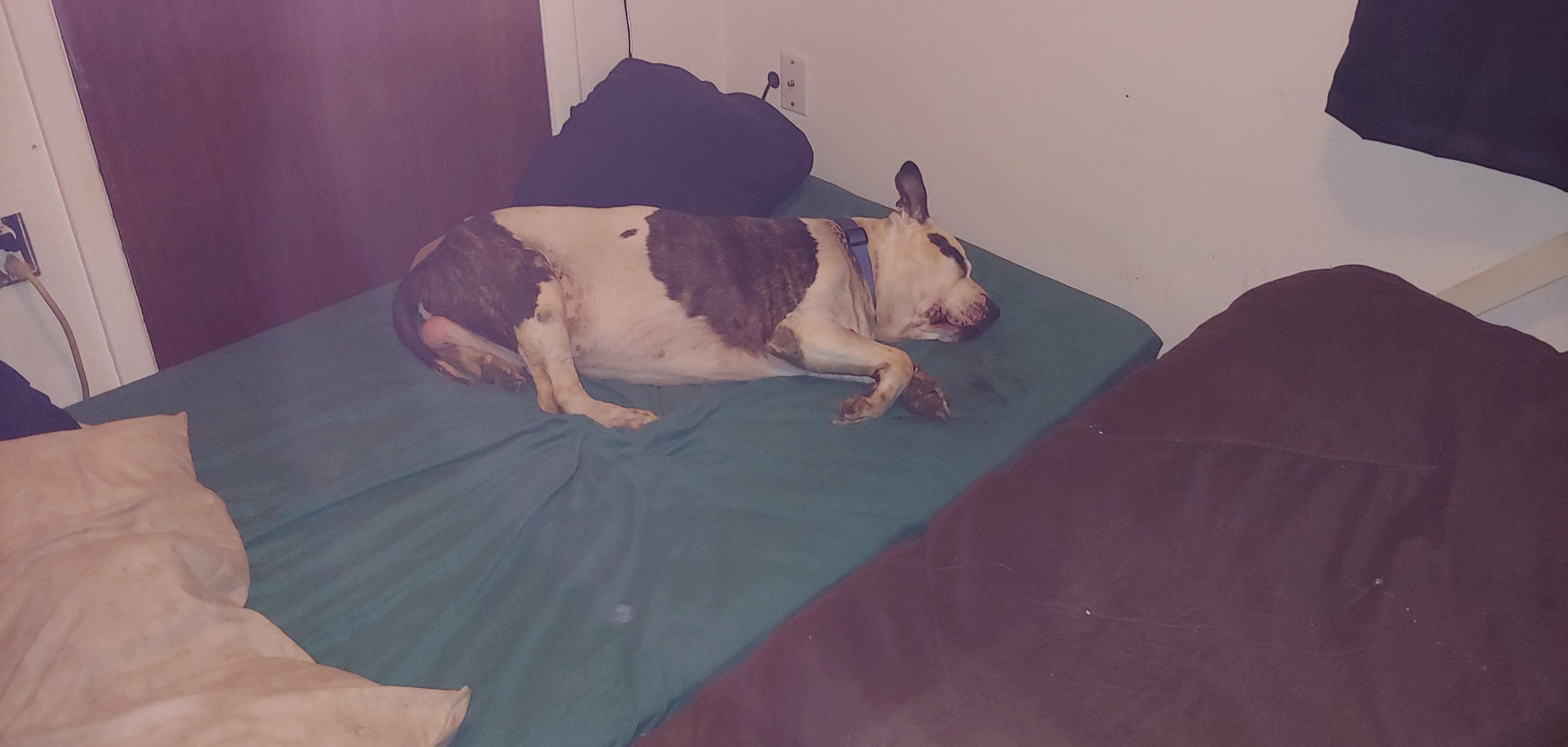 Question details sensitive content