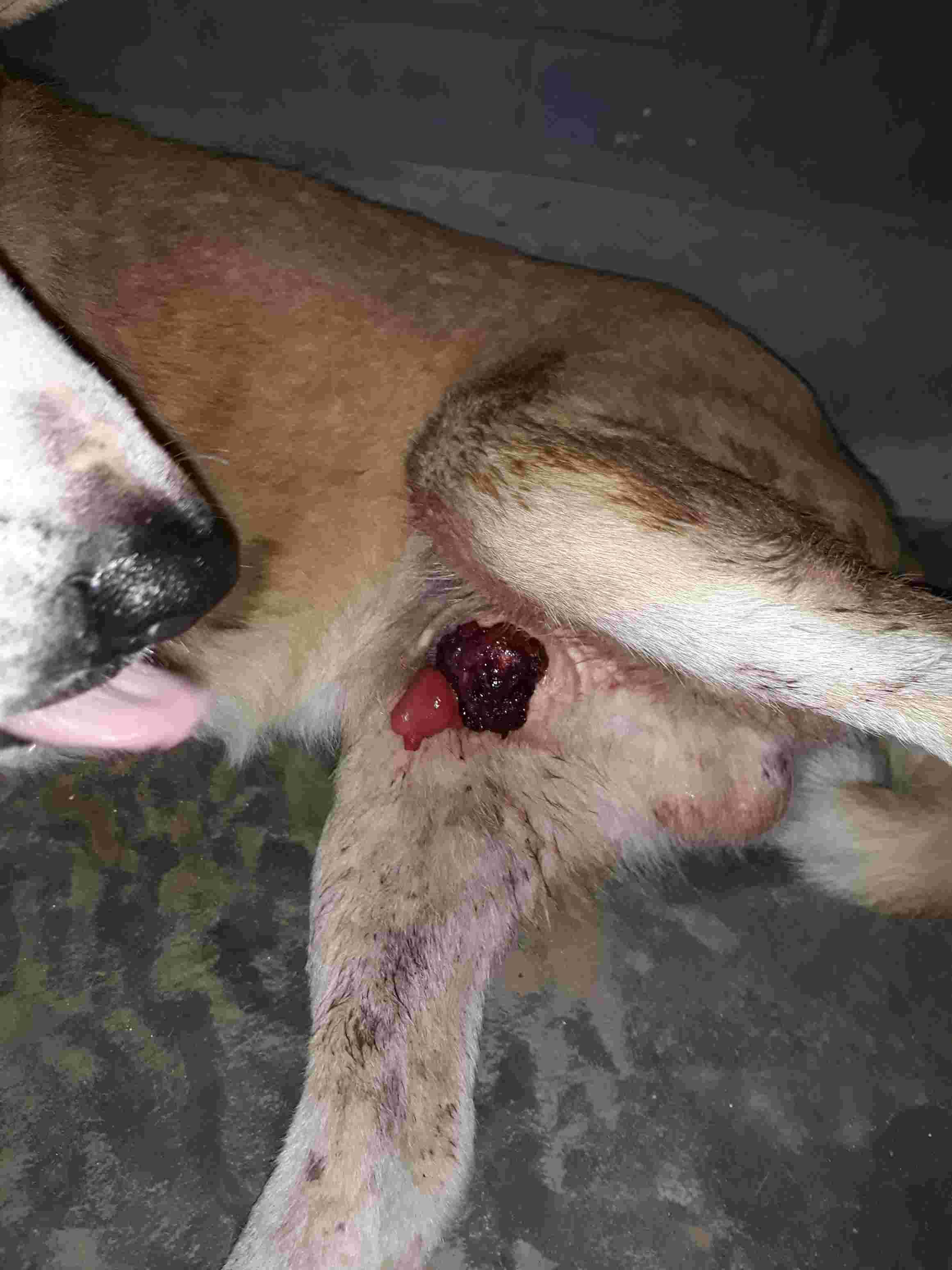 Question details sensitive content