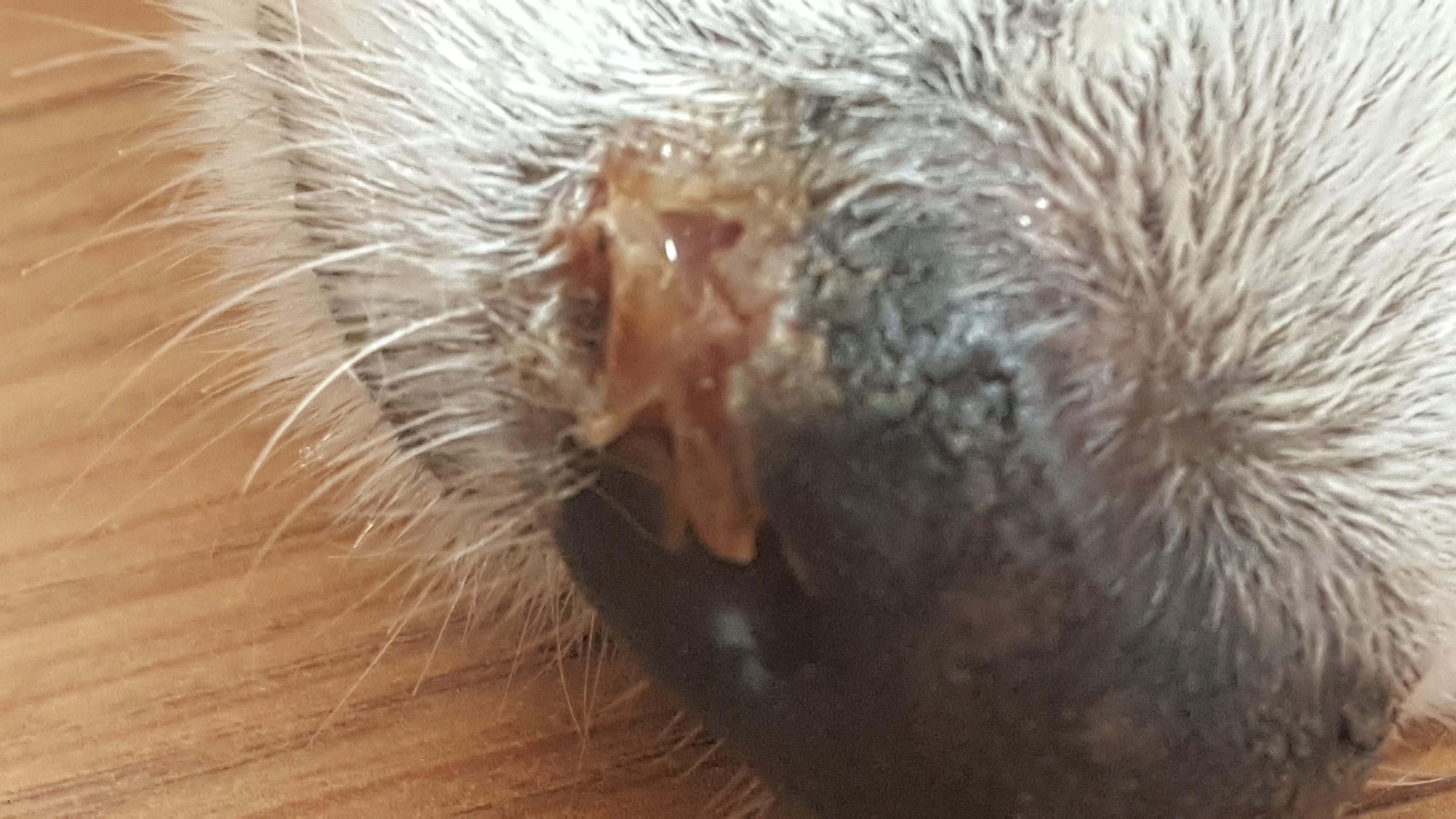 Question details sensitive content