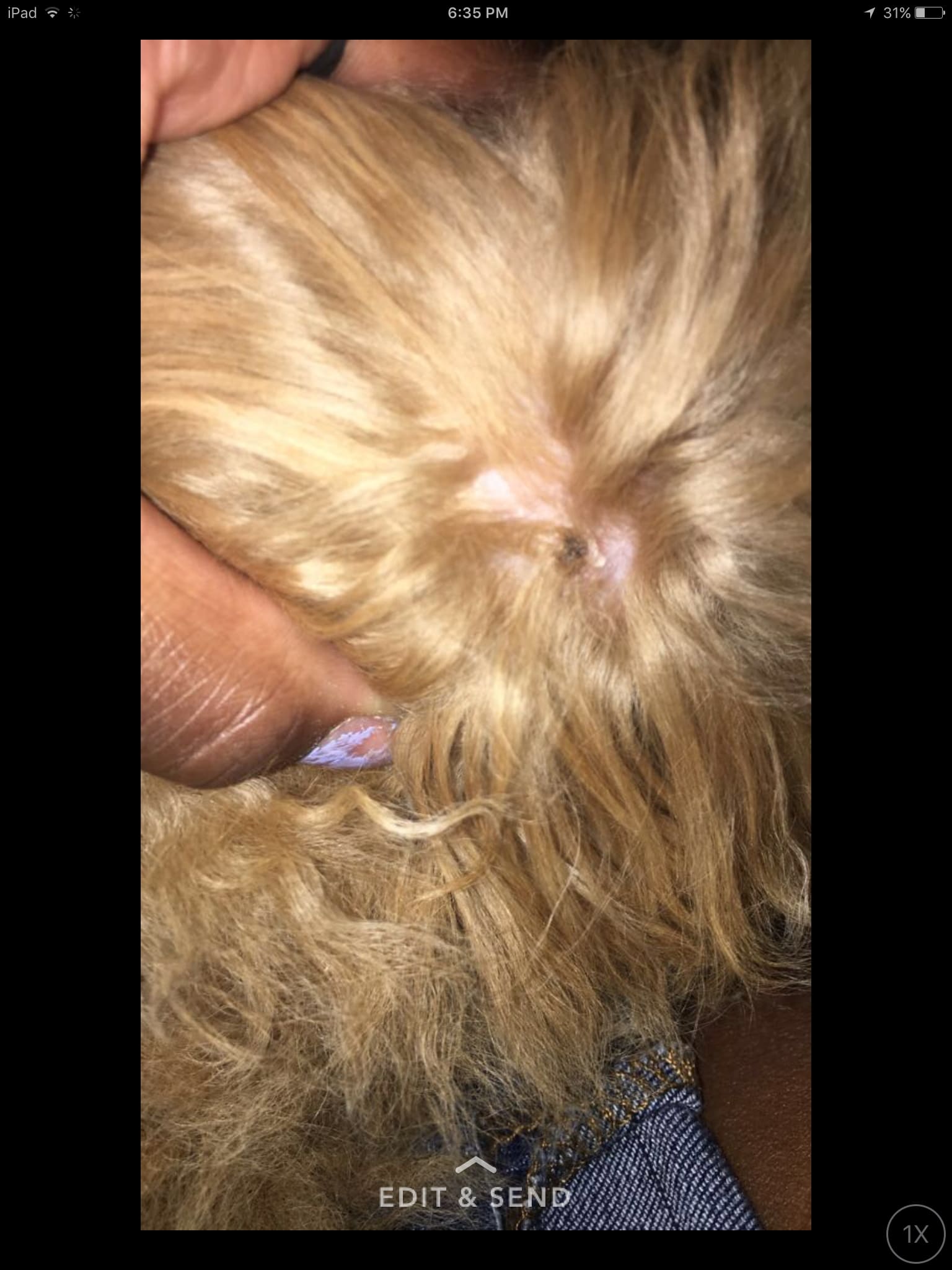 Question details sensitive content