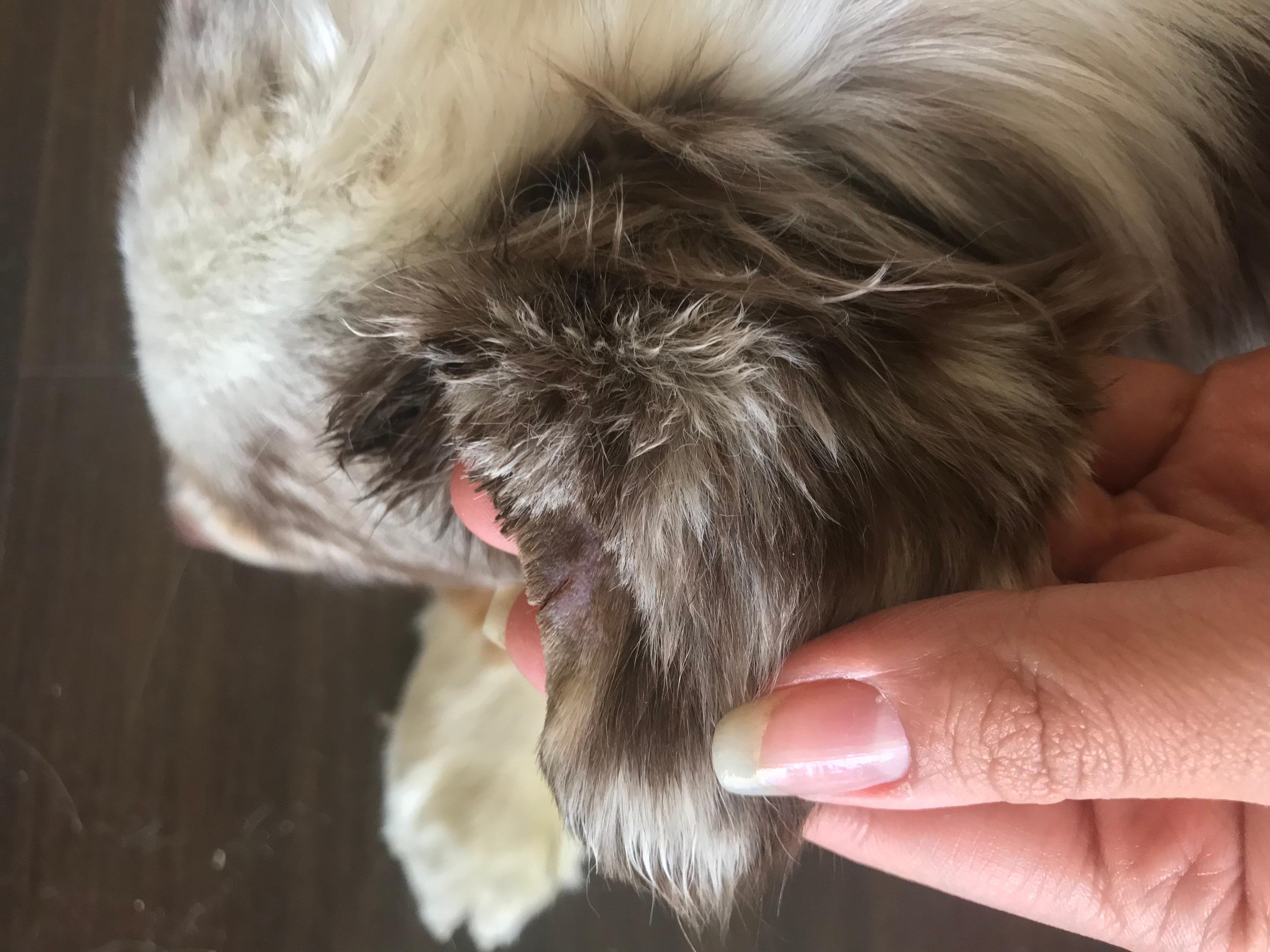 Question details sensitive content