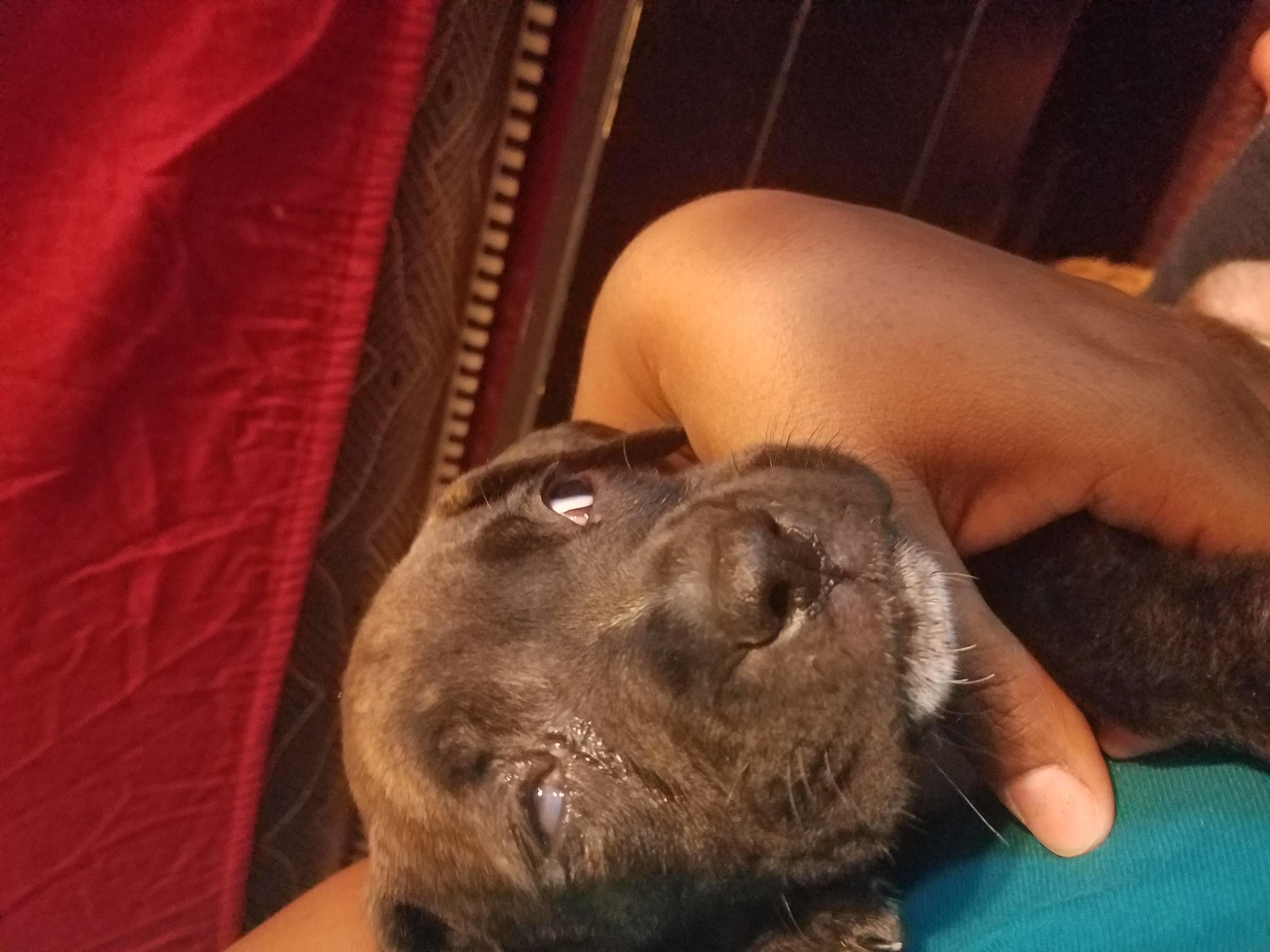 Question details sensitive content