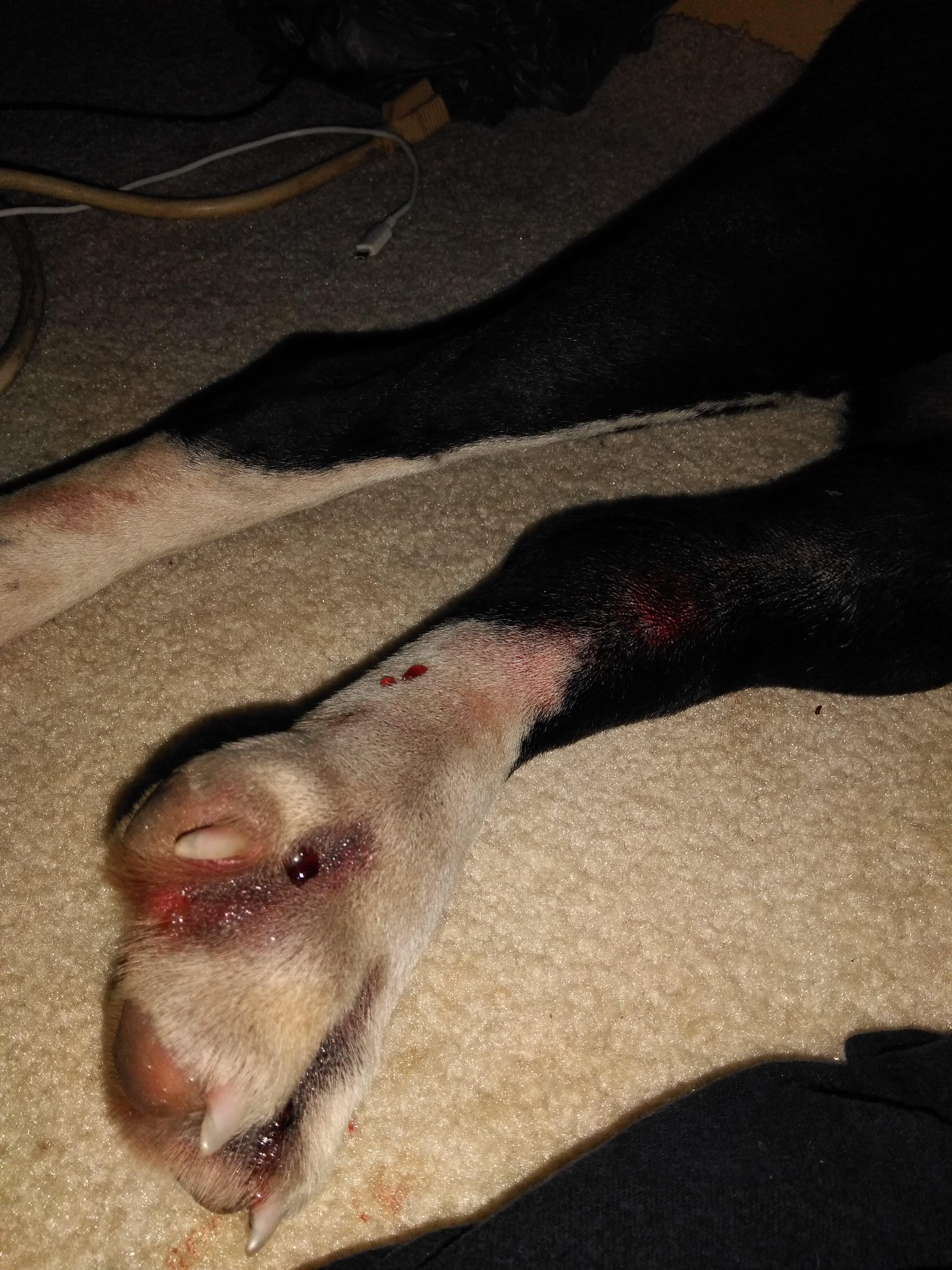 Question details sensitive content