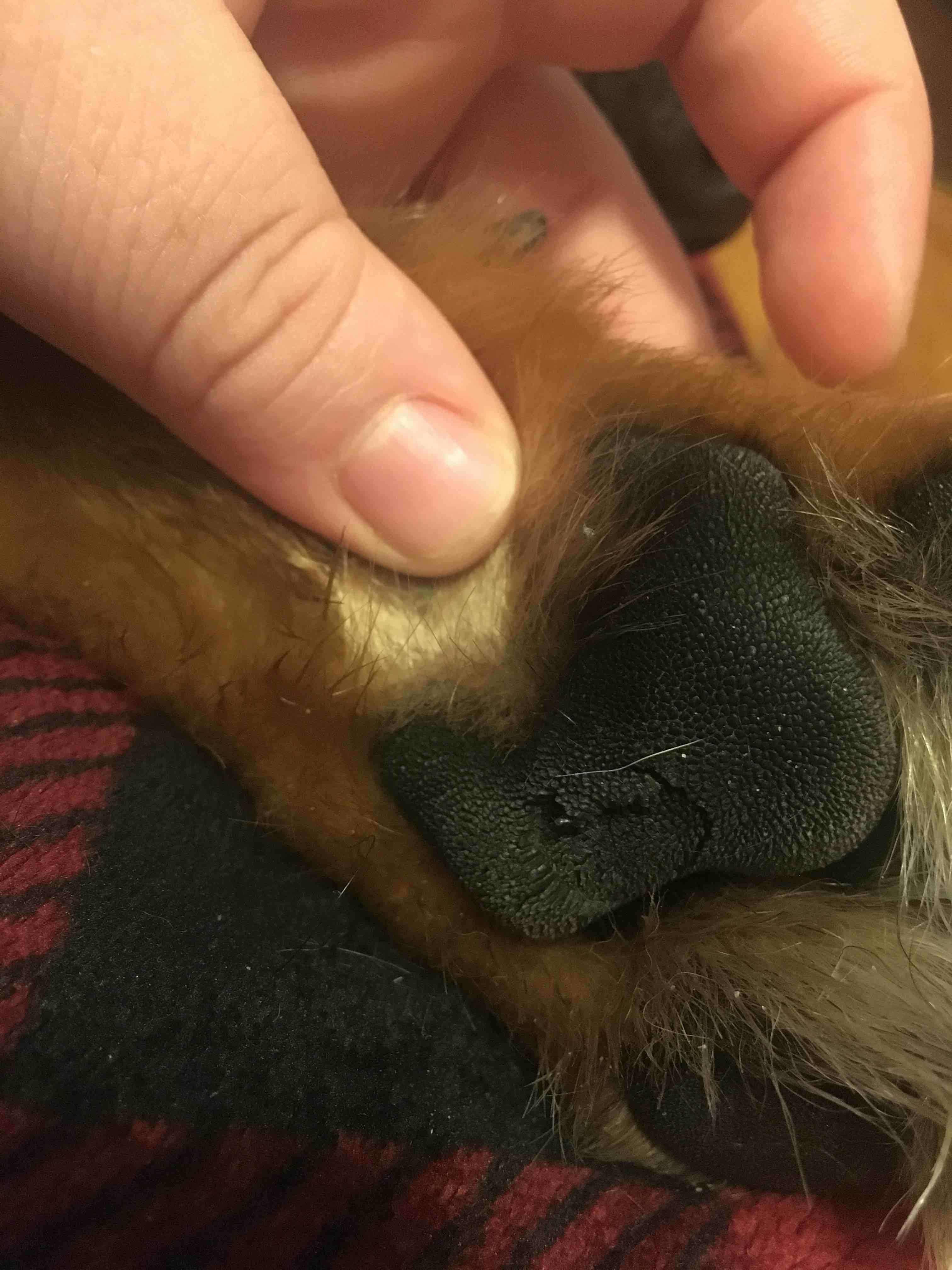 Question details sensitive content