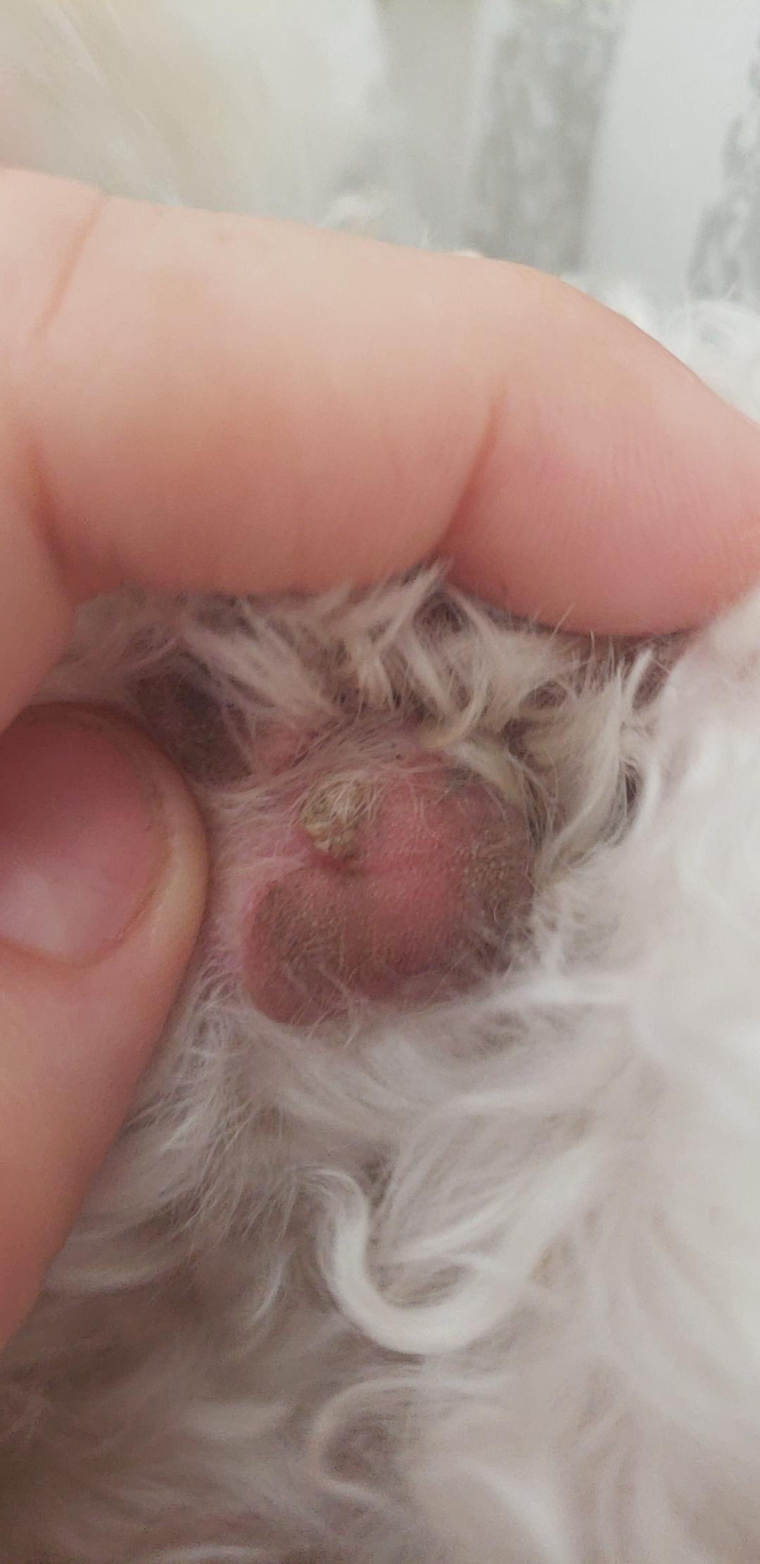 Question details sensitive content