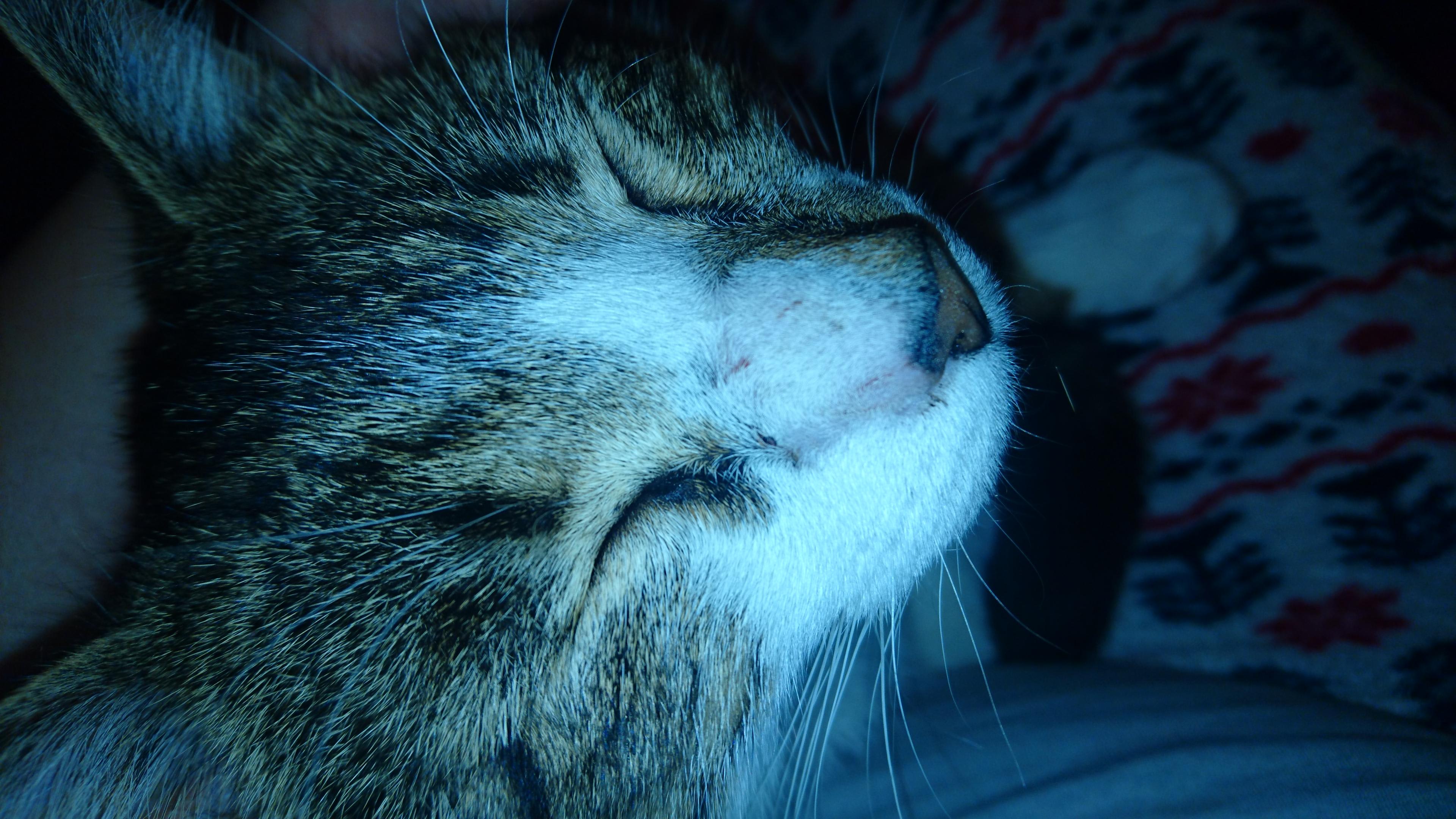 Question details sensitive content