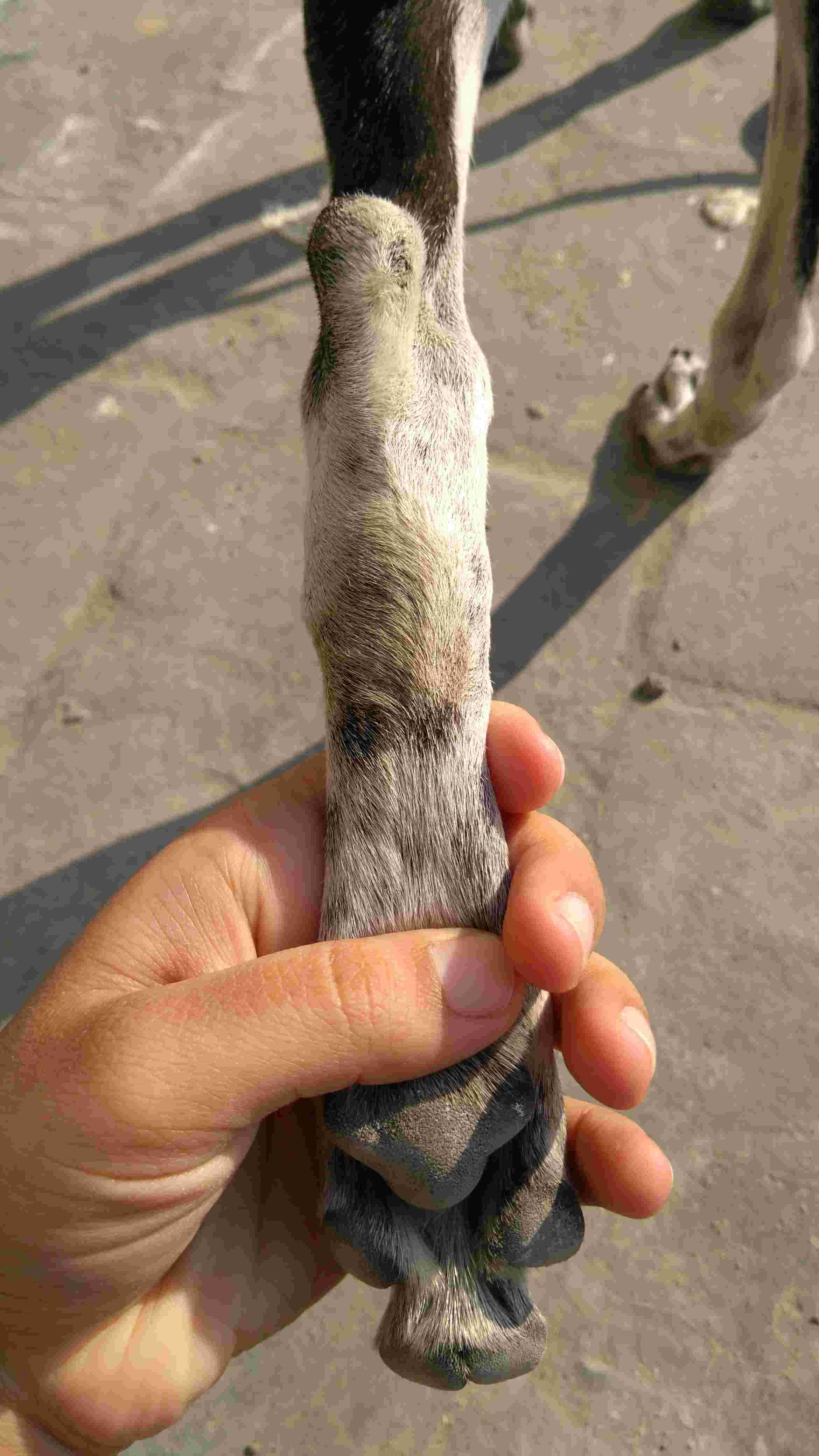 Question details sensitive content