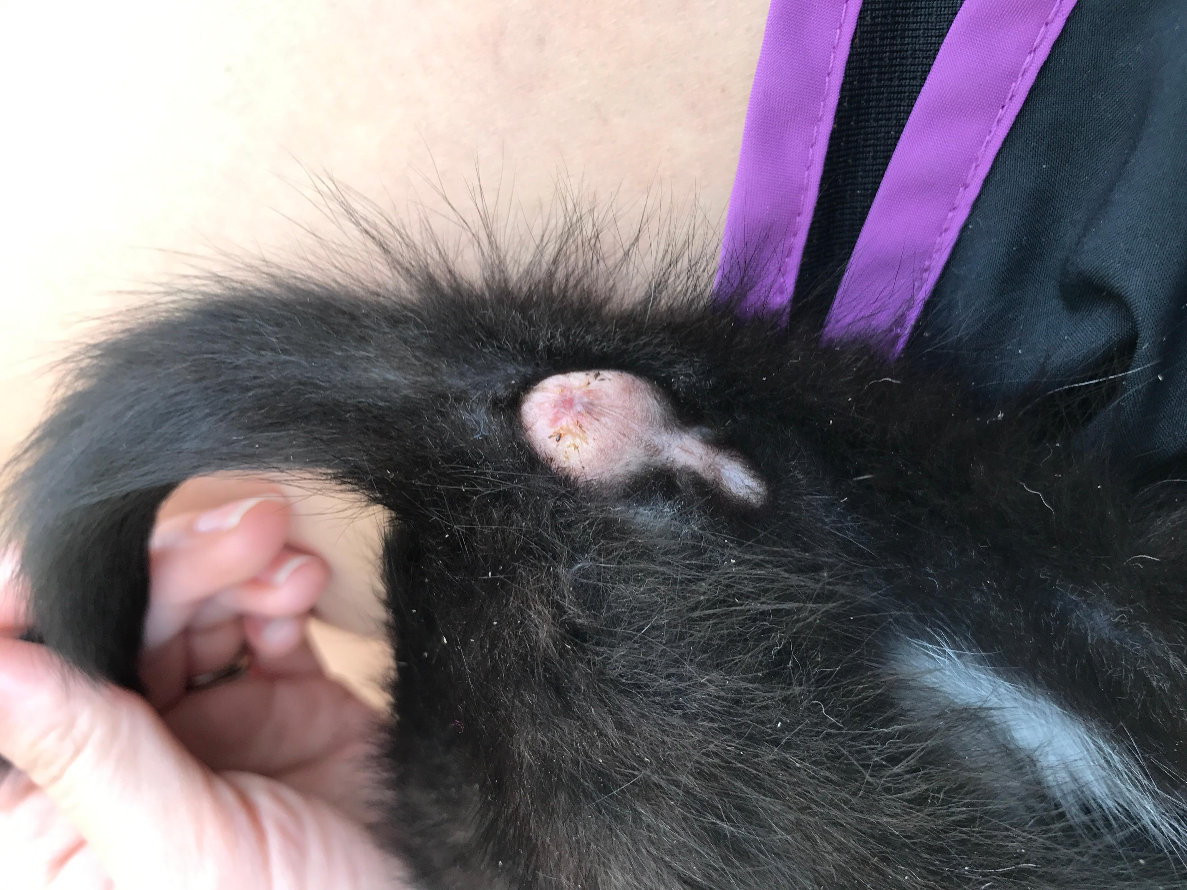 Question details sensitive content