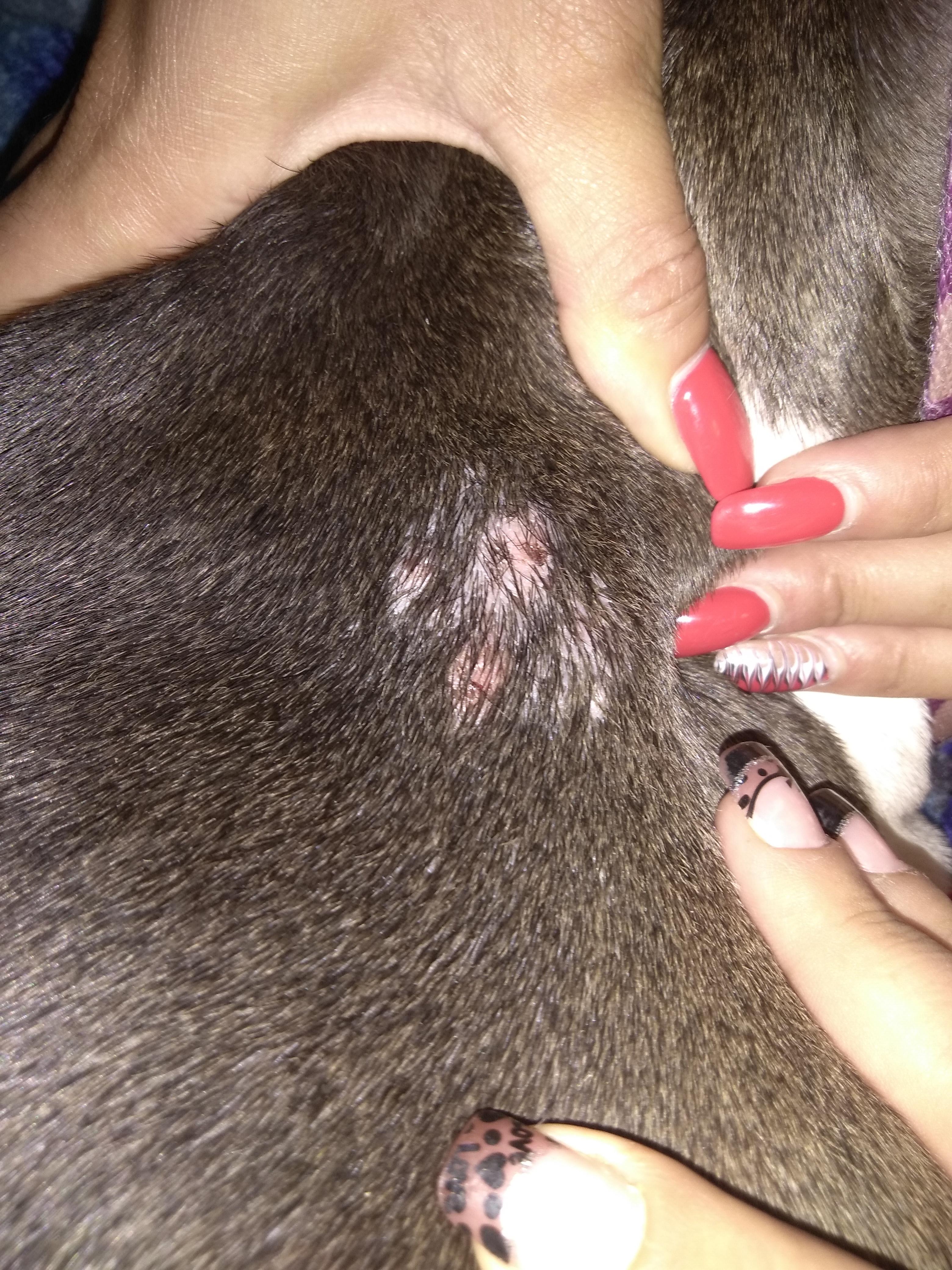 Question details sensitive content